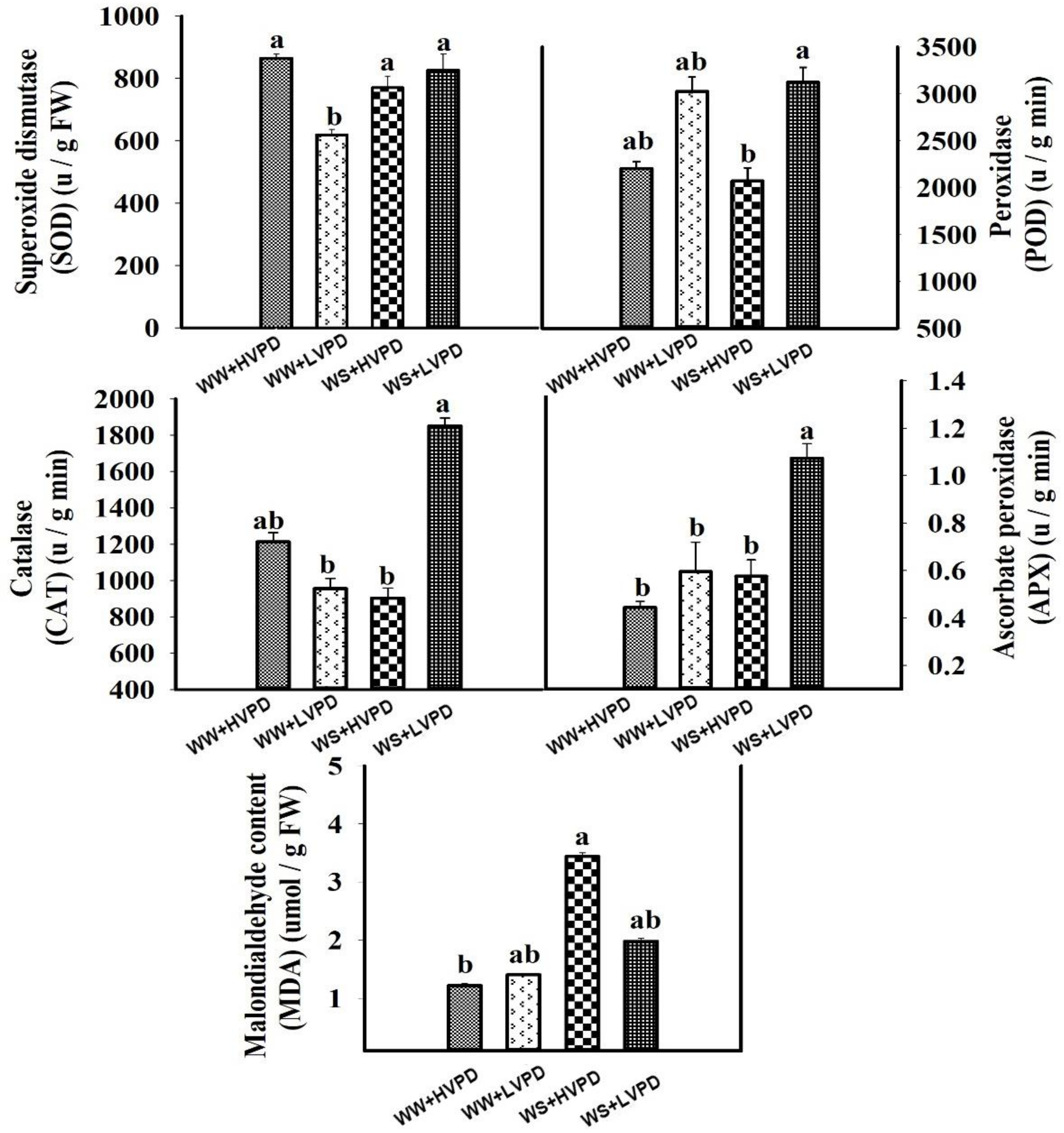 Horticulturae 08 00147 g008