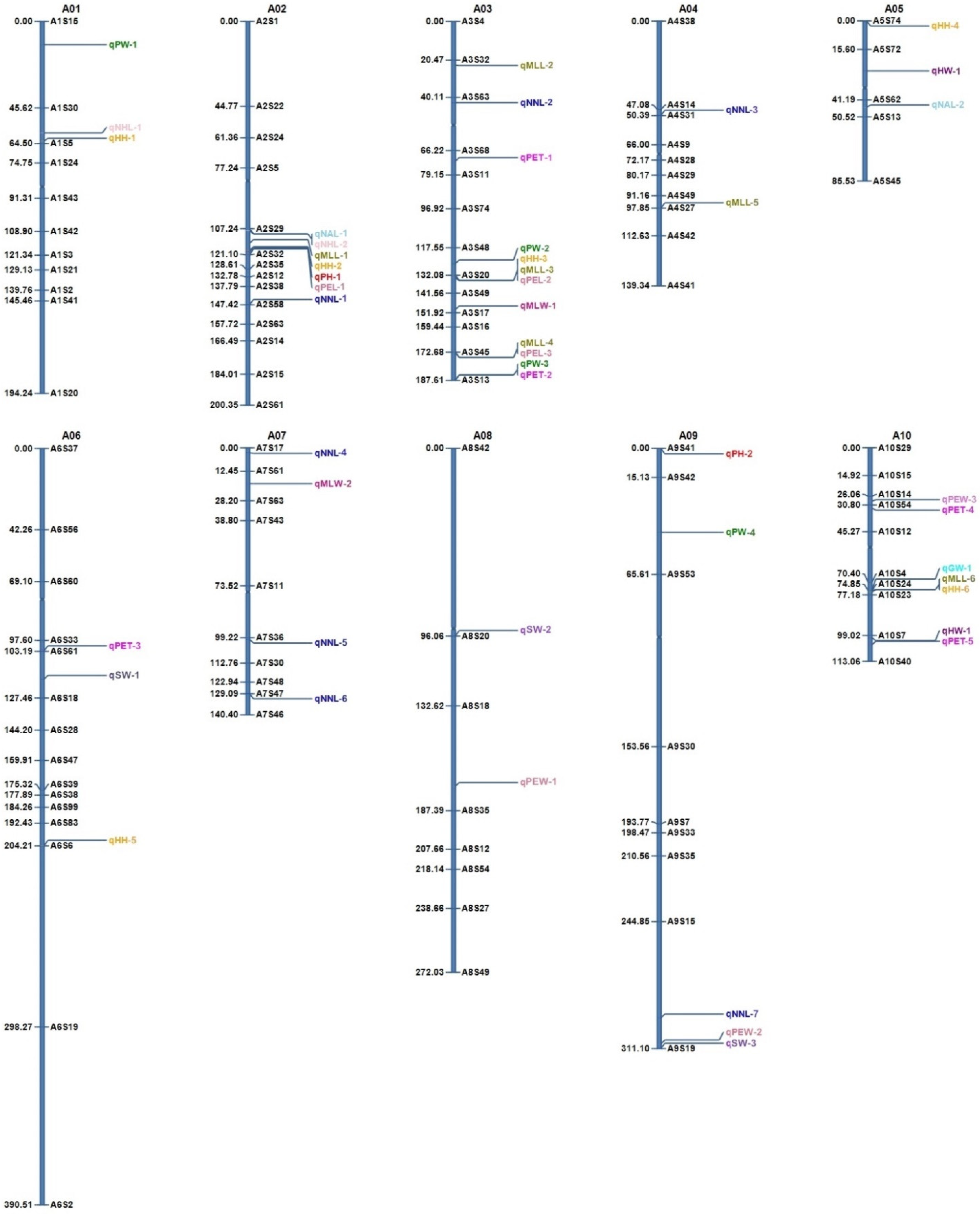 Genetic linkage & mapping (article)