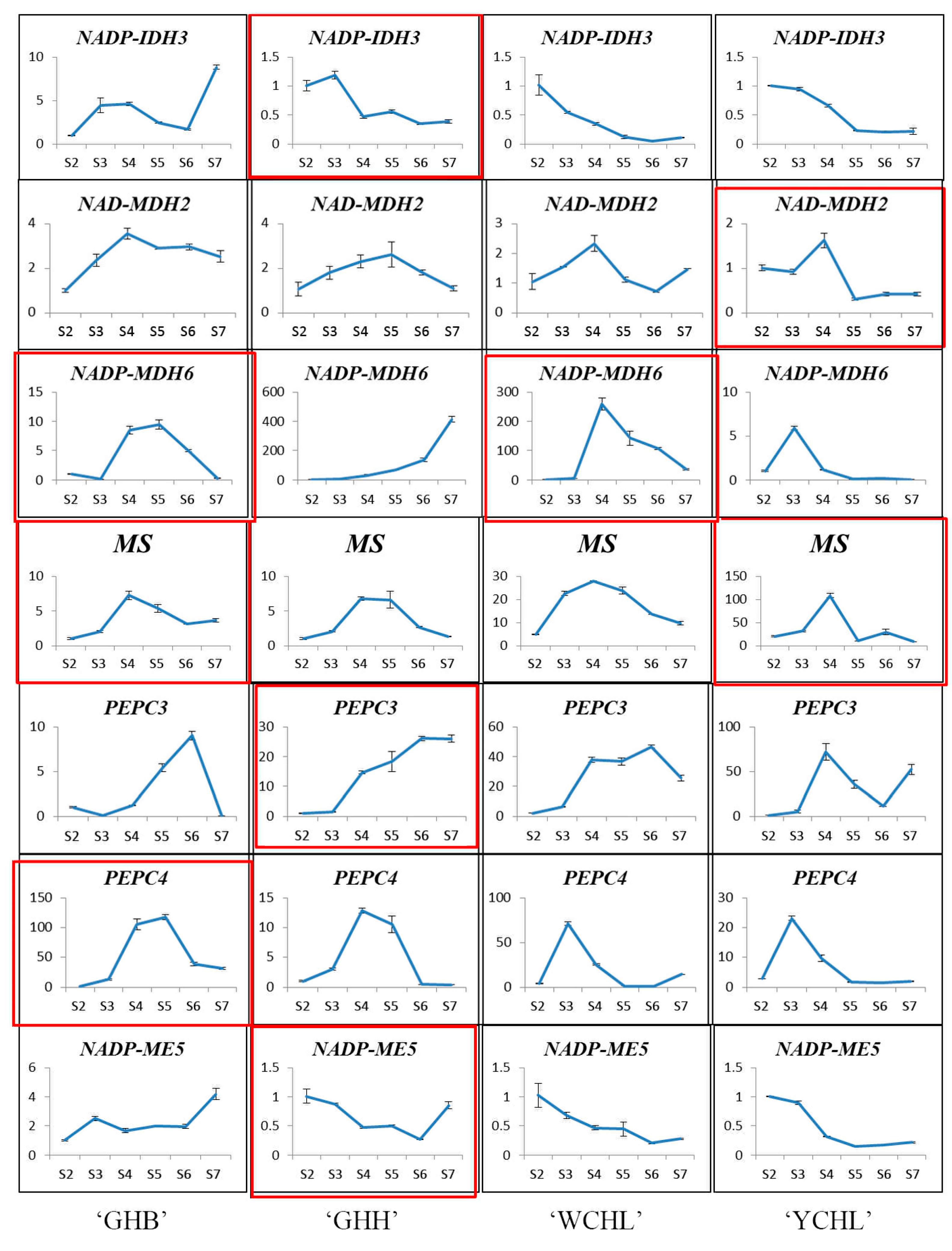 Horticulturae 08 00167 g004