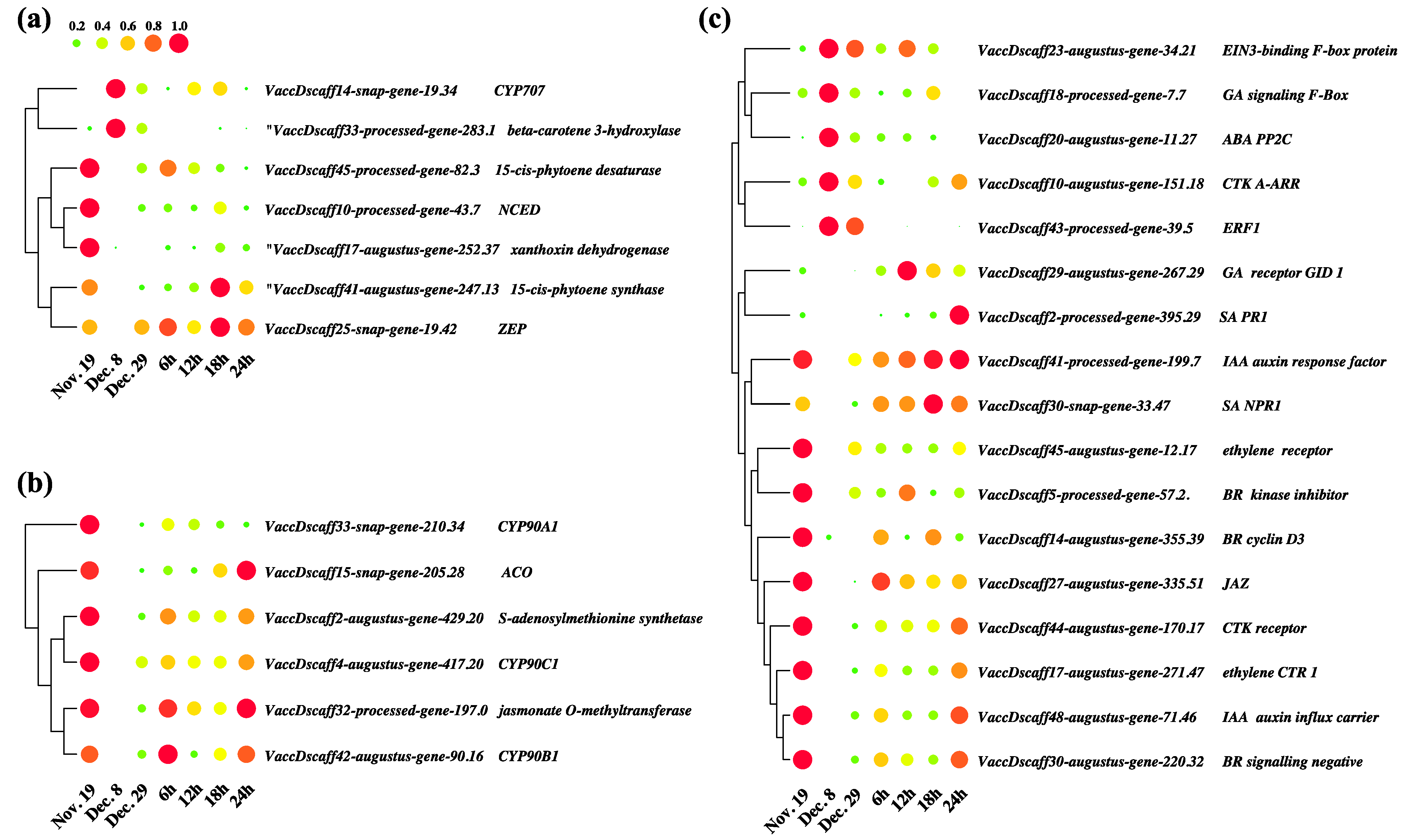 Horticulturae Free Full Text Comparative Transcriptomic Analysis Provides Insight Into The 9899