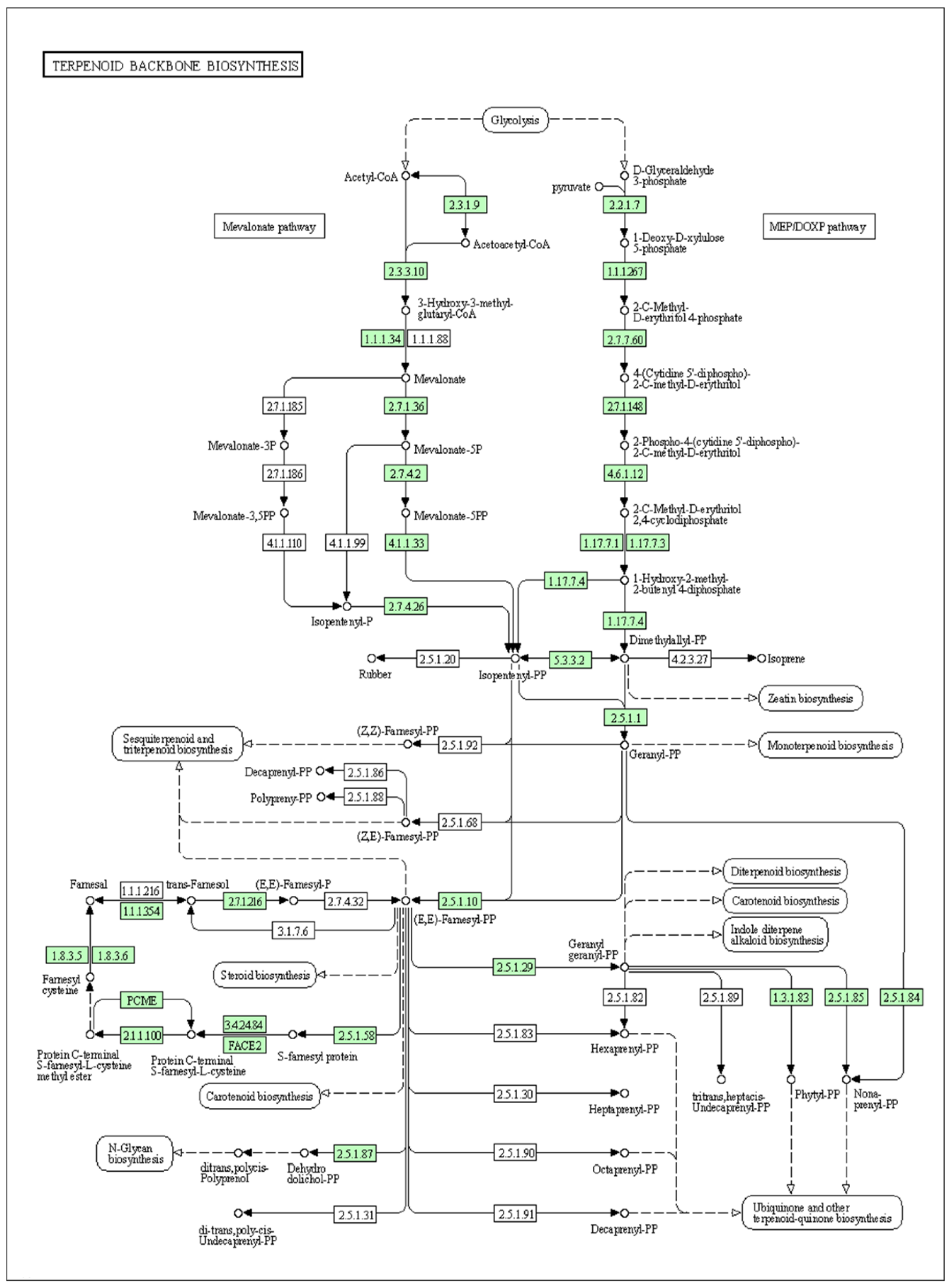 Horticulturae 08 00224 g009