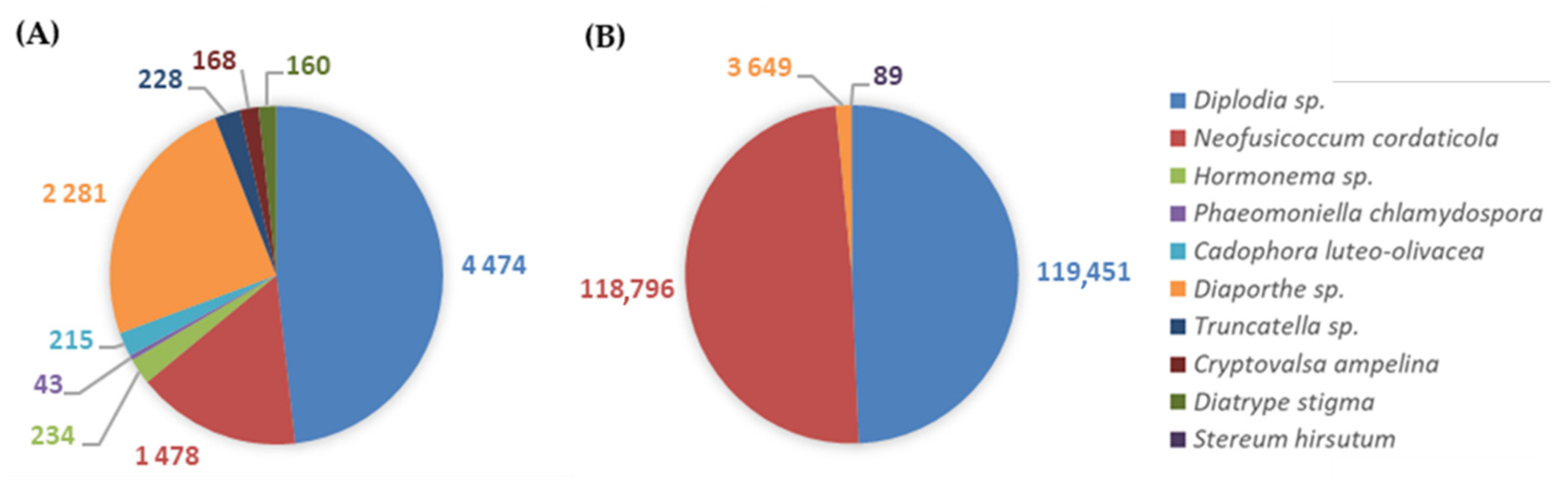 Horticulturae 08 00288 g006