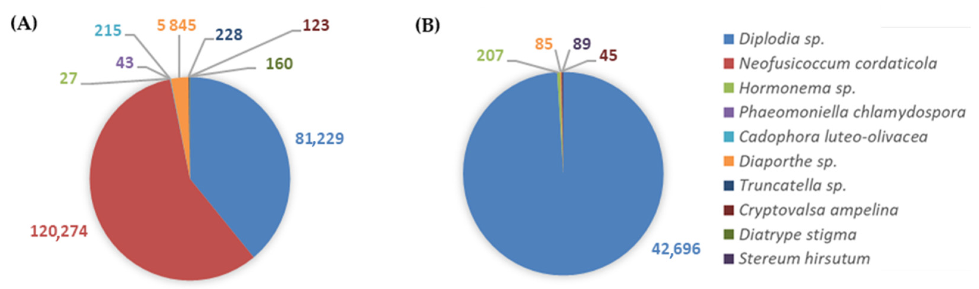 Horticulturae 08 00288 g010
