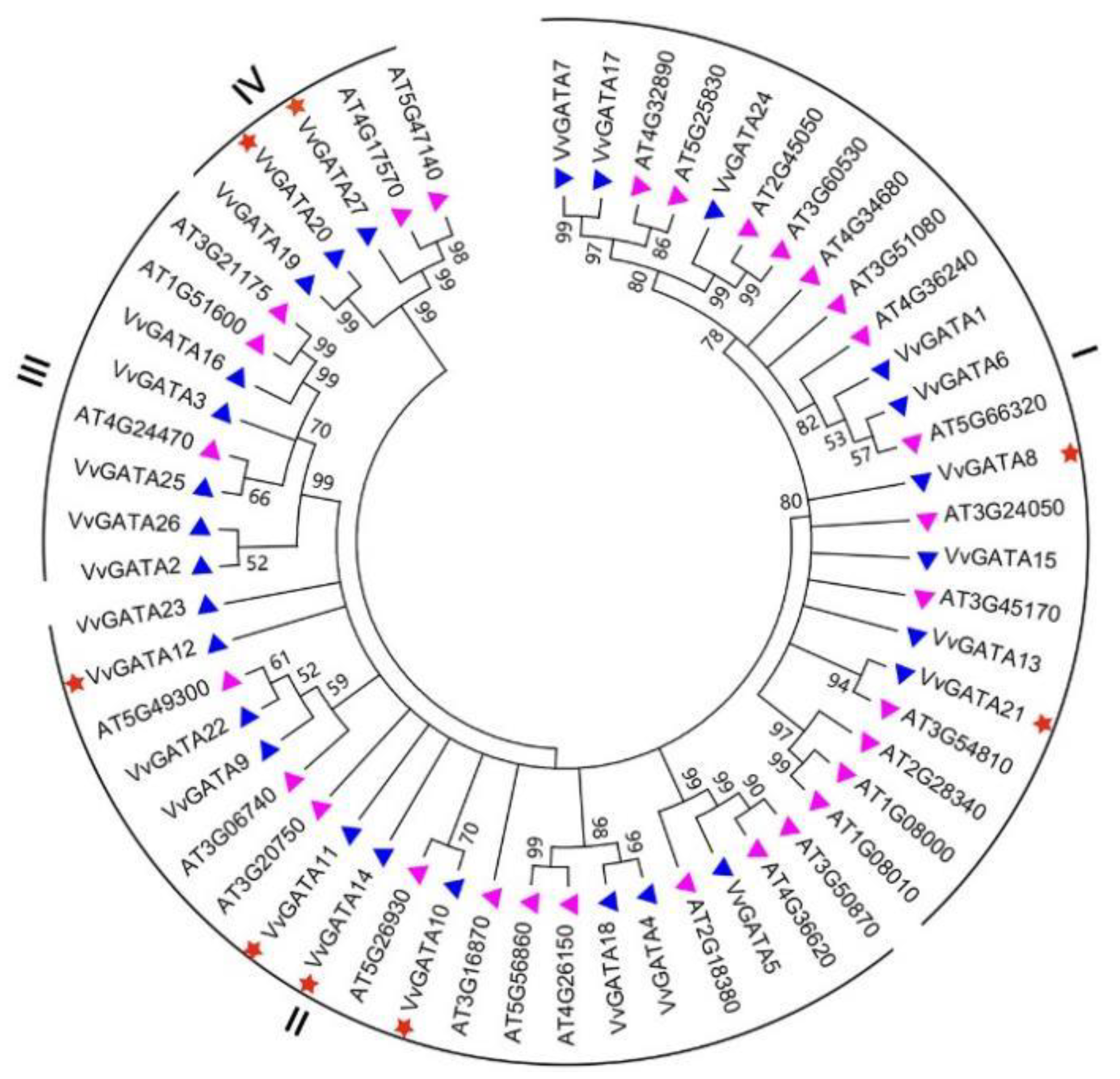 Horticulturae 08 00303 g001