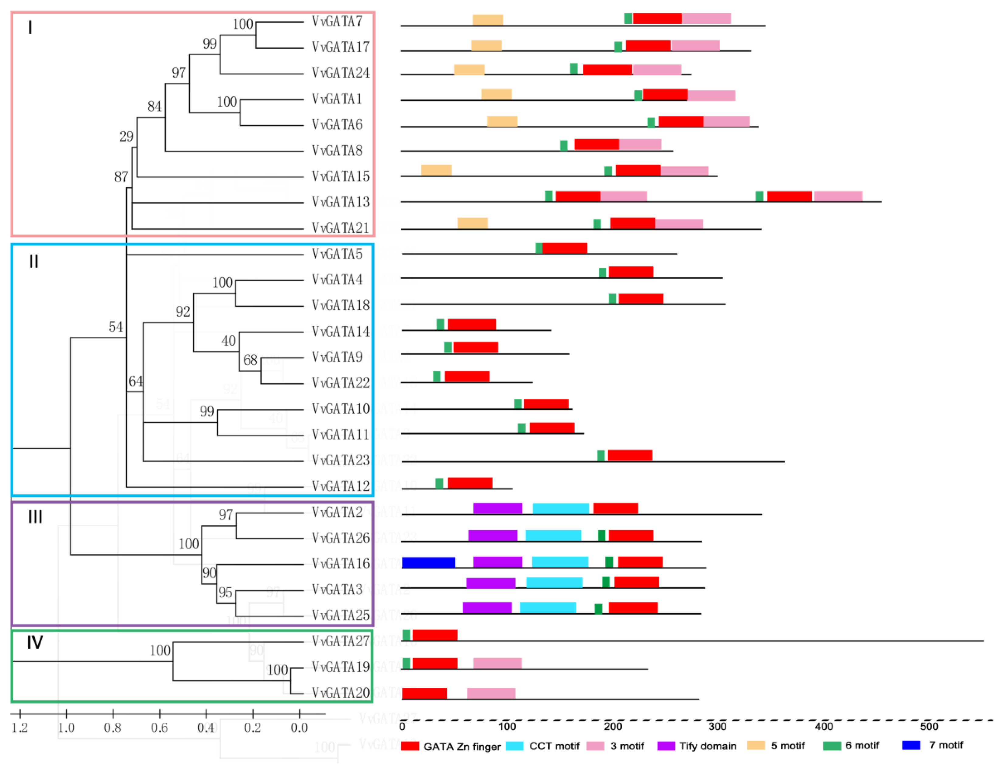 Horticulturae 08 00303 g002