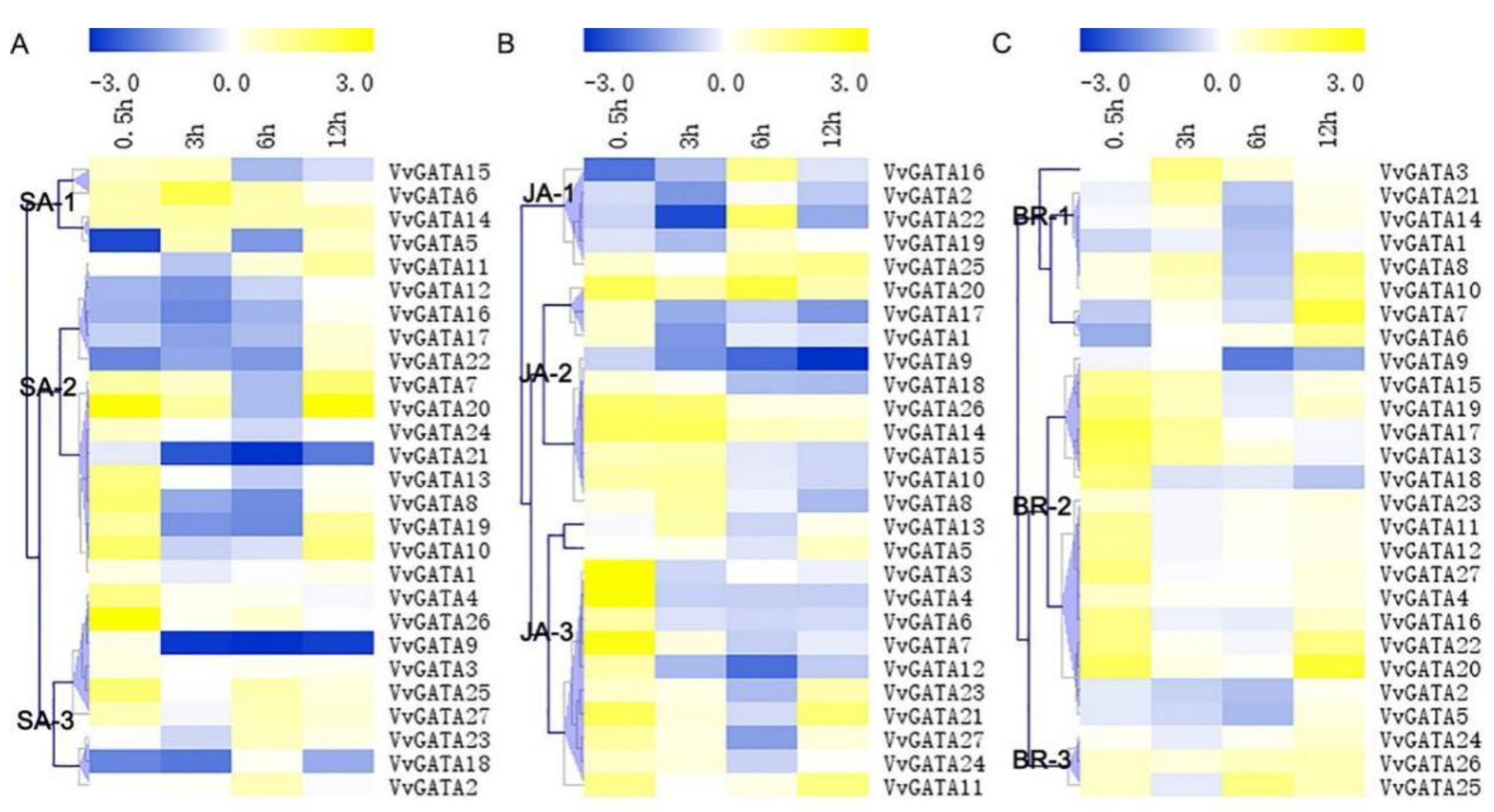 Horticulturae 08 00303 g004