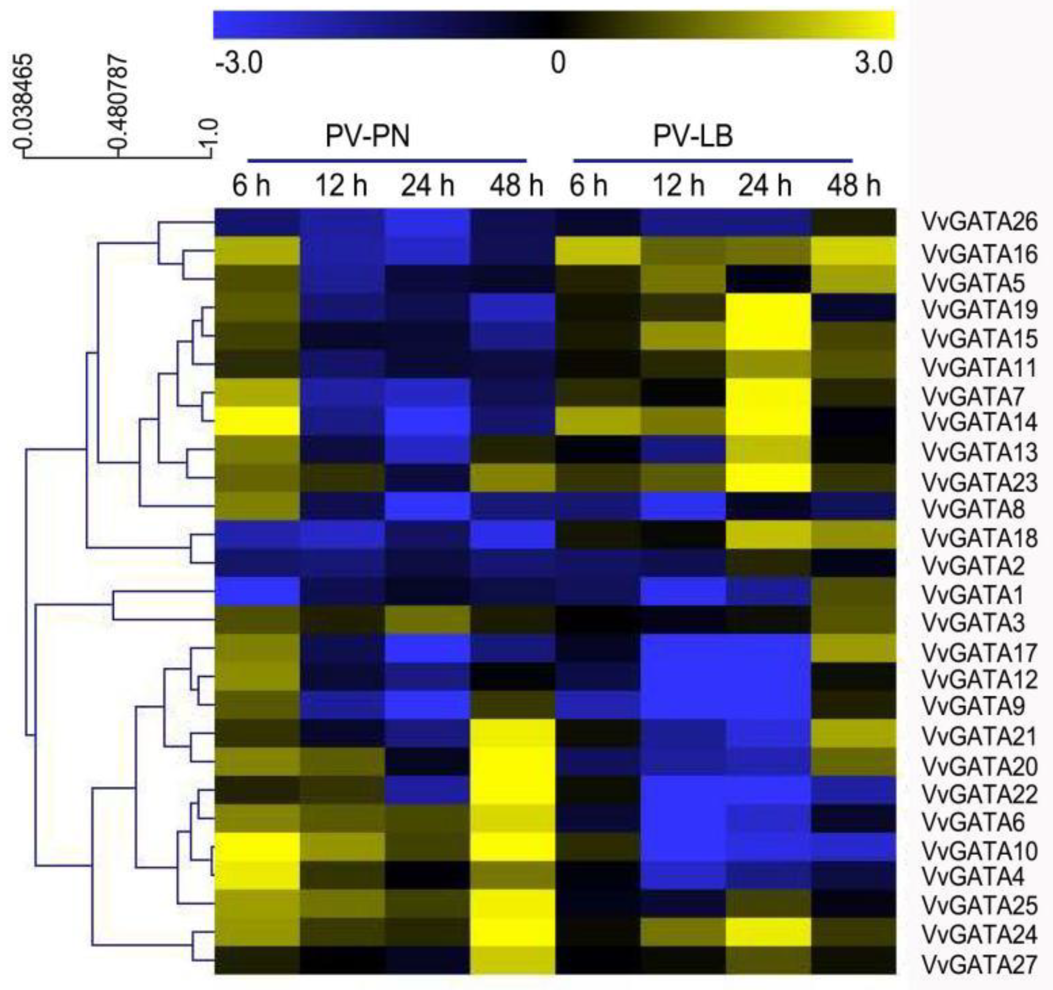 Horticulturae 08 00303 g005