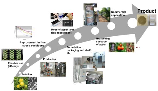 https://www.mdpi.com/horticulturae/horticulturae-08-00305/article_deploy/html/images/horticulturae-08-00305-g001-550.jpg