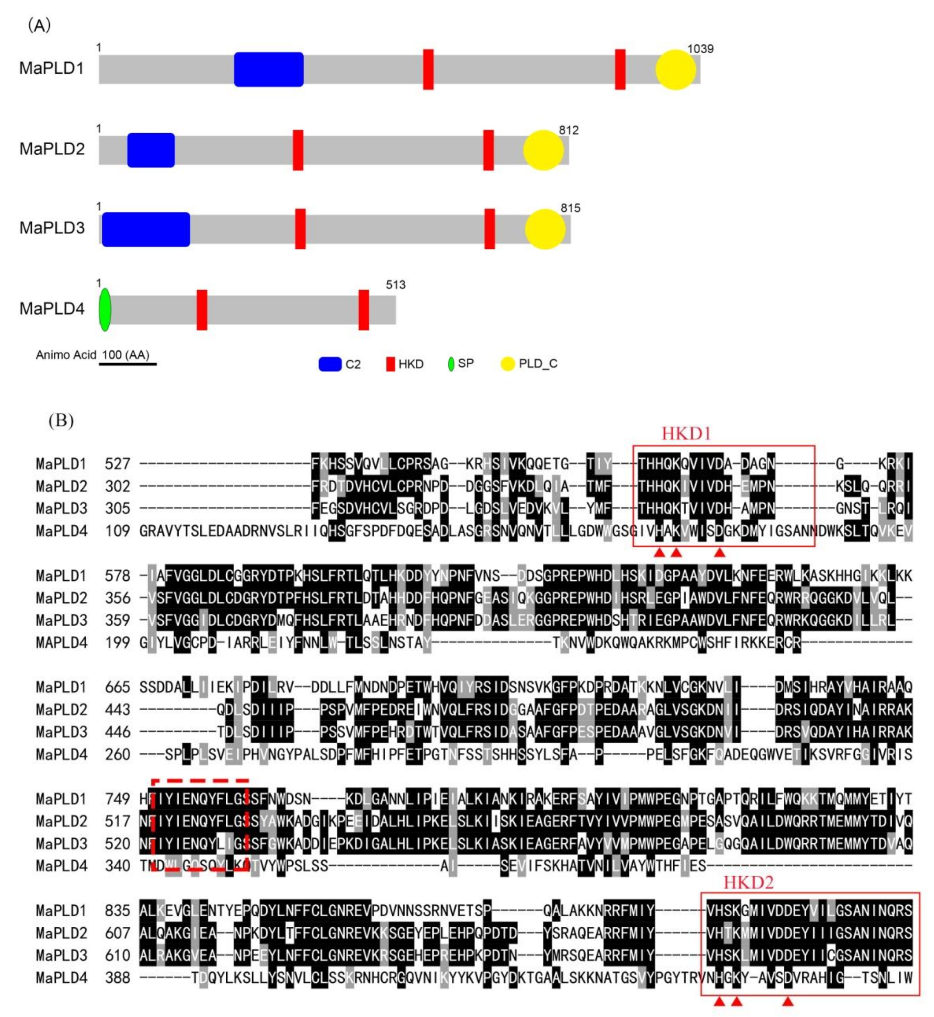 Horticulturae 08 00312 g002