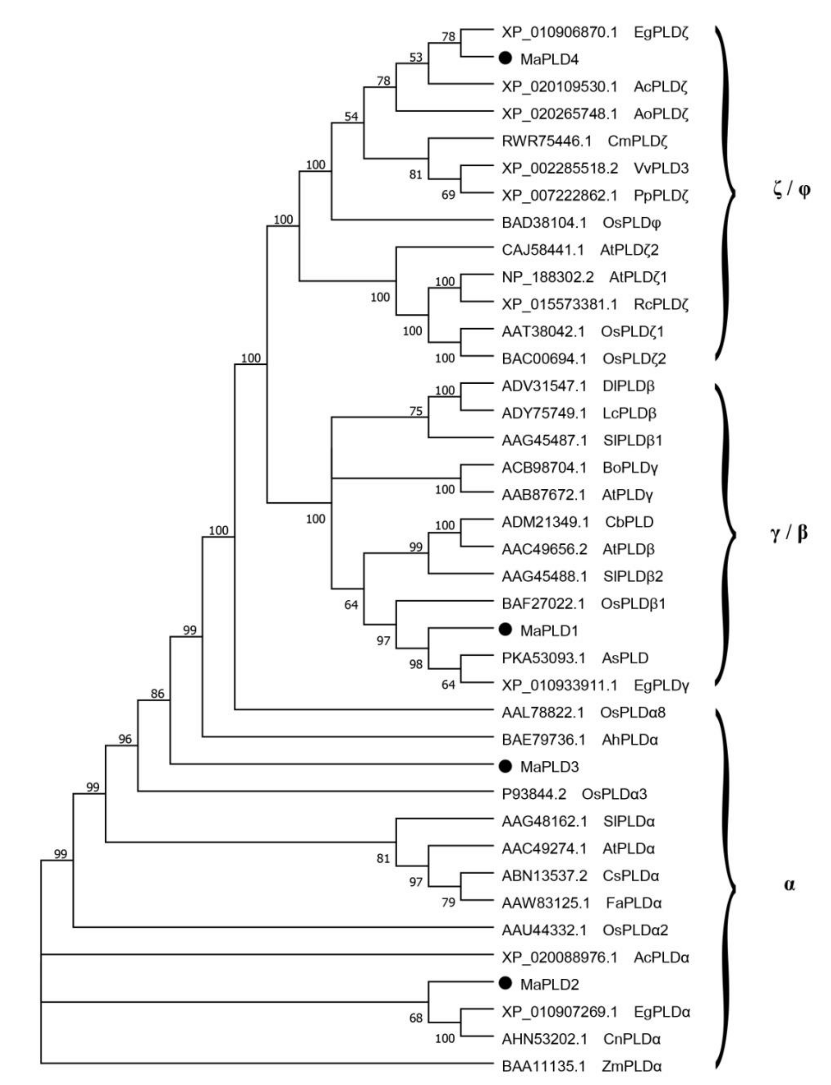 Horticulturae 08 00312 g003