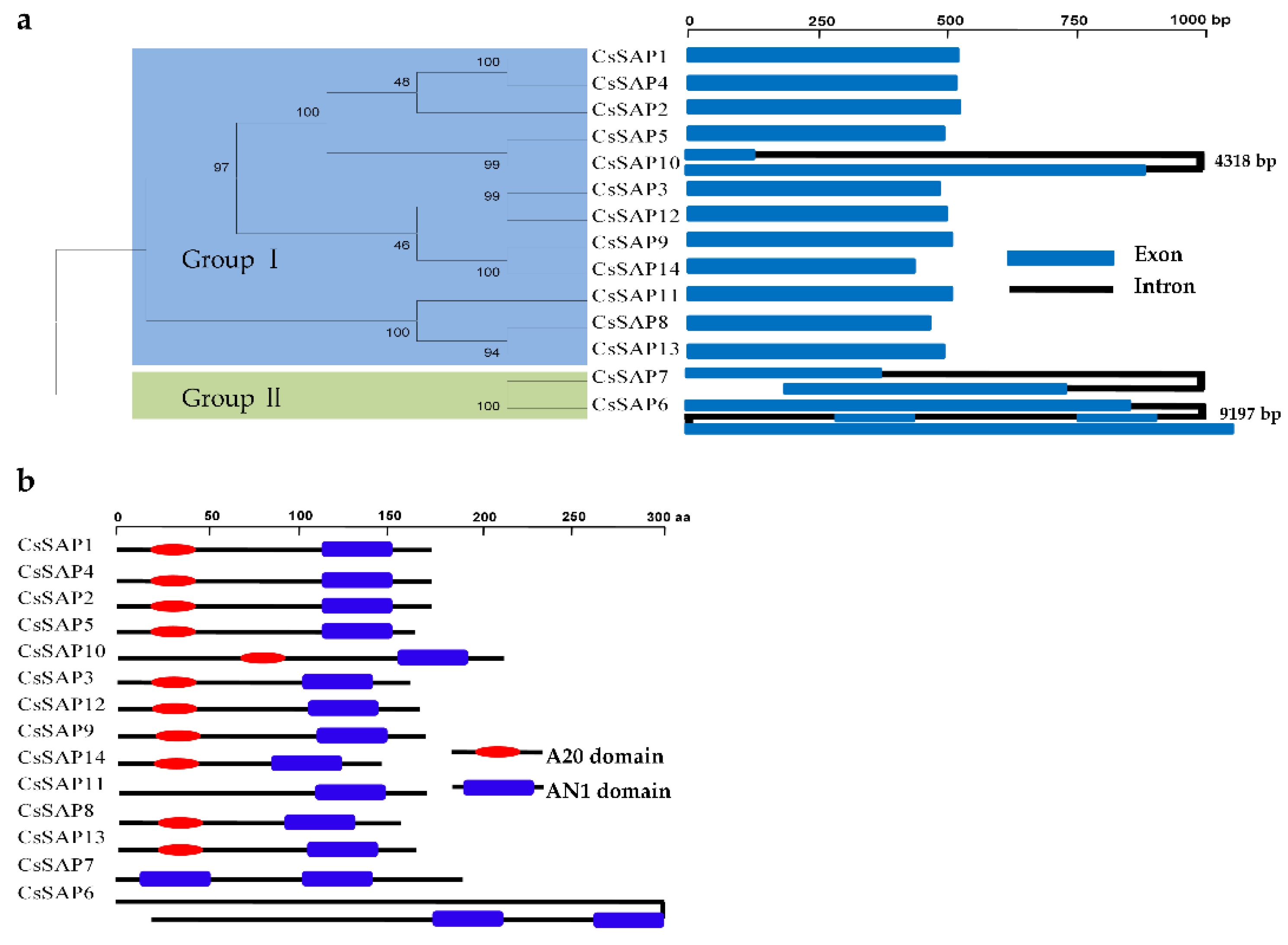 Tea Tree Genome Sequenced, Genetics