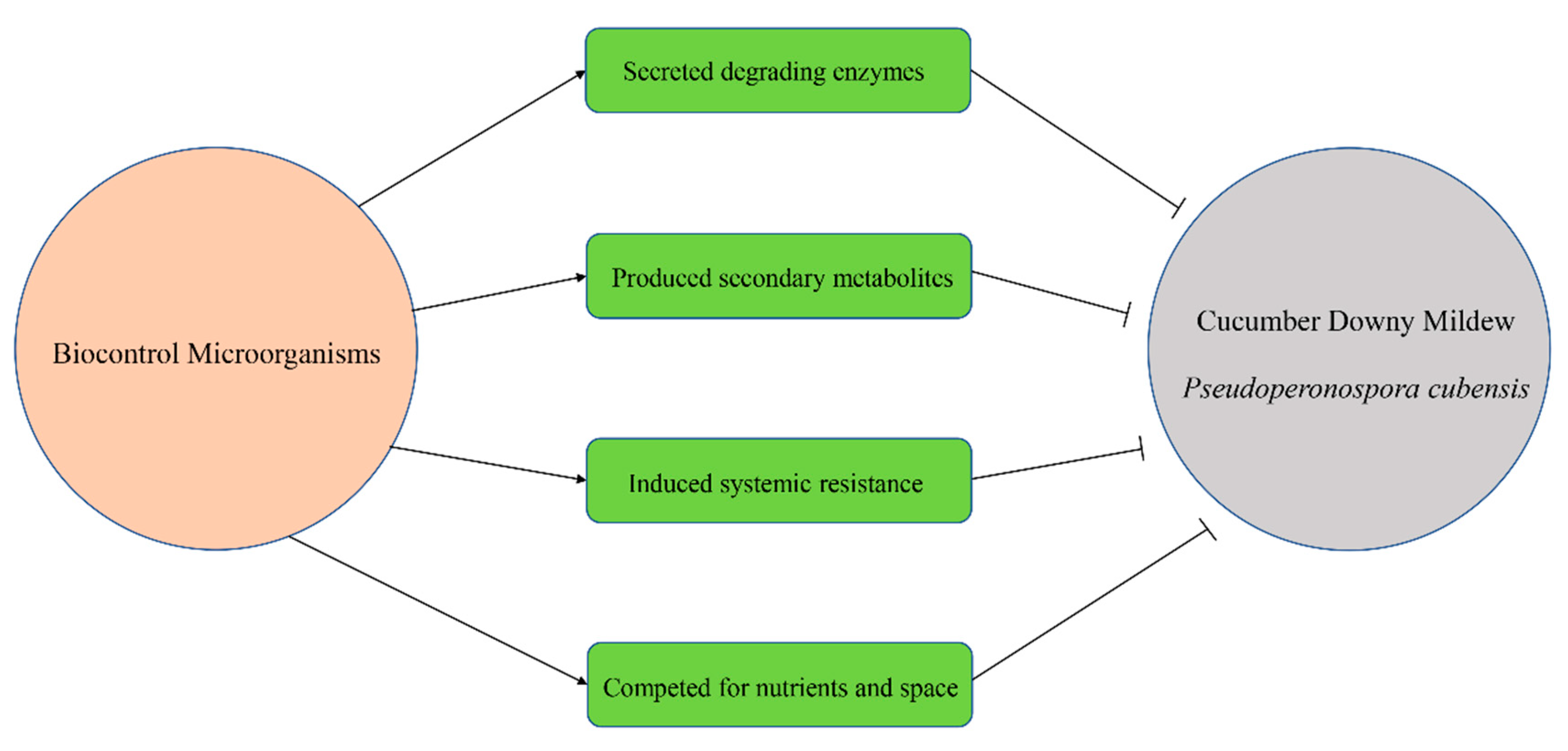 Horticulturae 08 00410 g002 Horticulturae 08 00410 g002