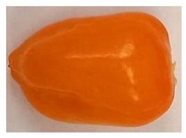 Horticulturae 08 00428 i002