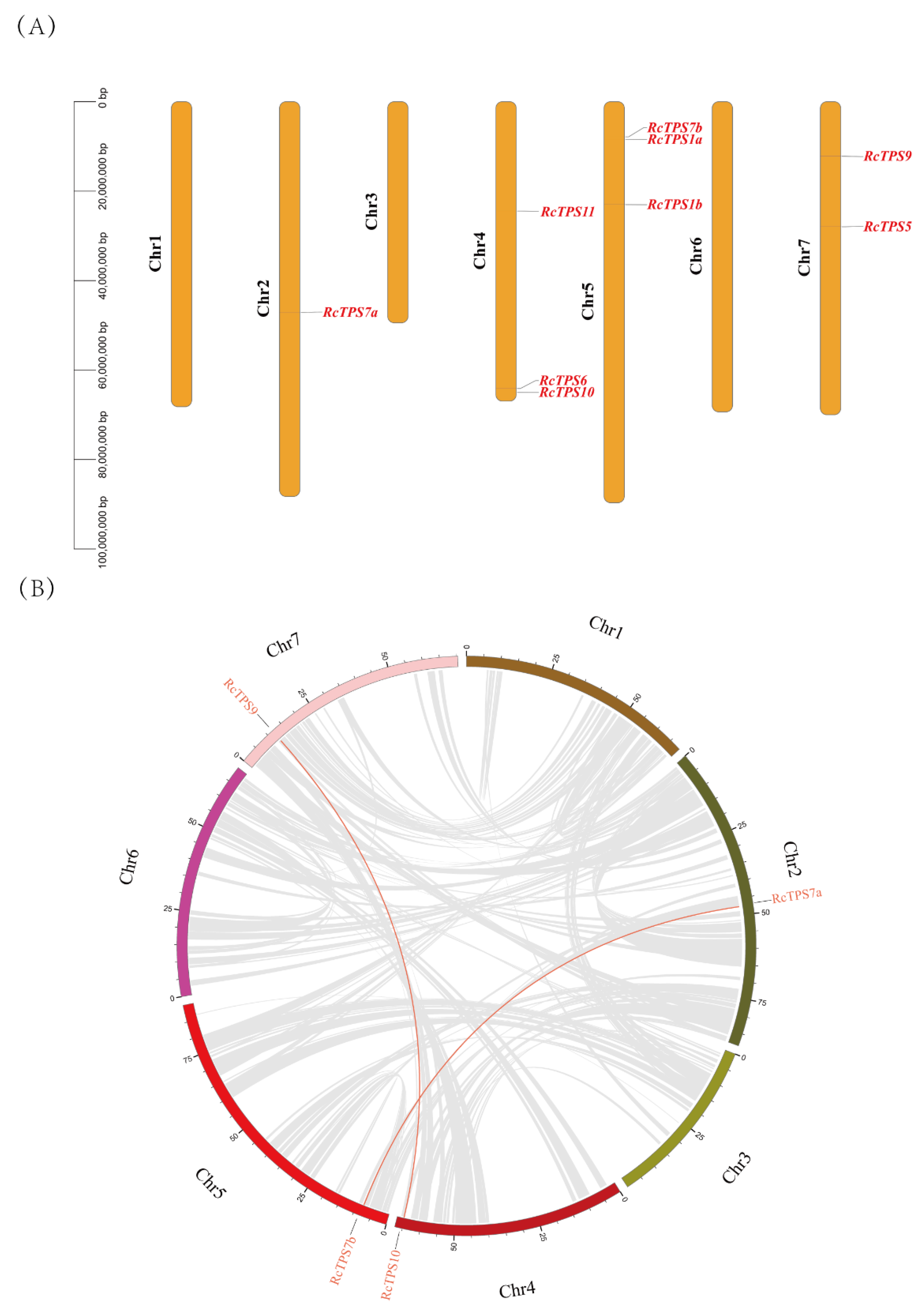 Horticulturae 08 00429 g002