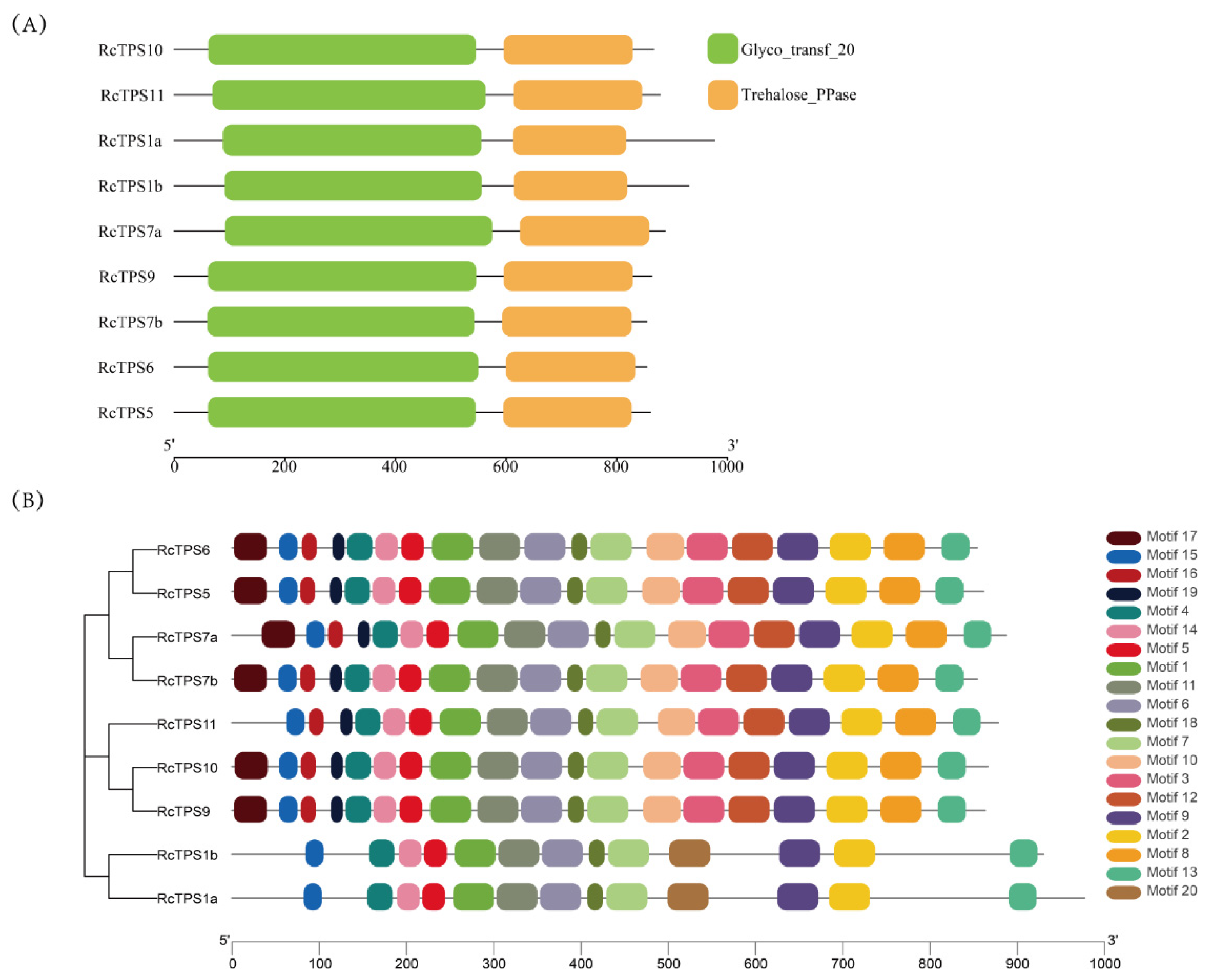 Horticulturae 08 00429 g004