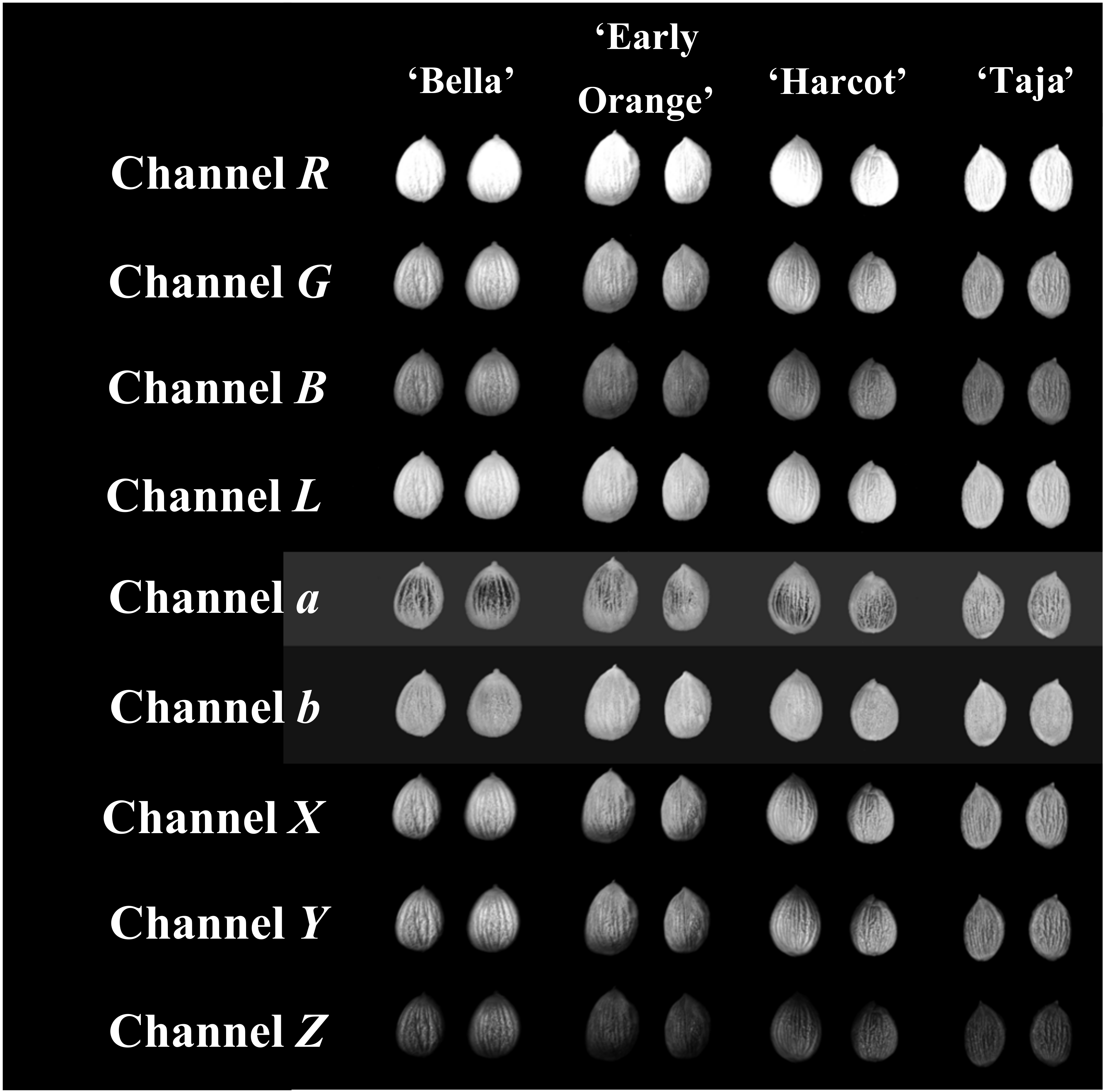 Horticulturae 08 00431 g002