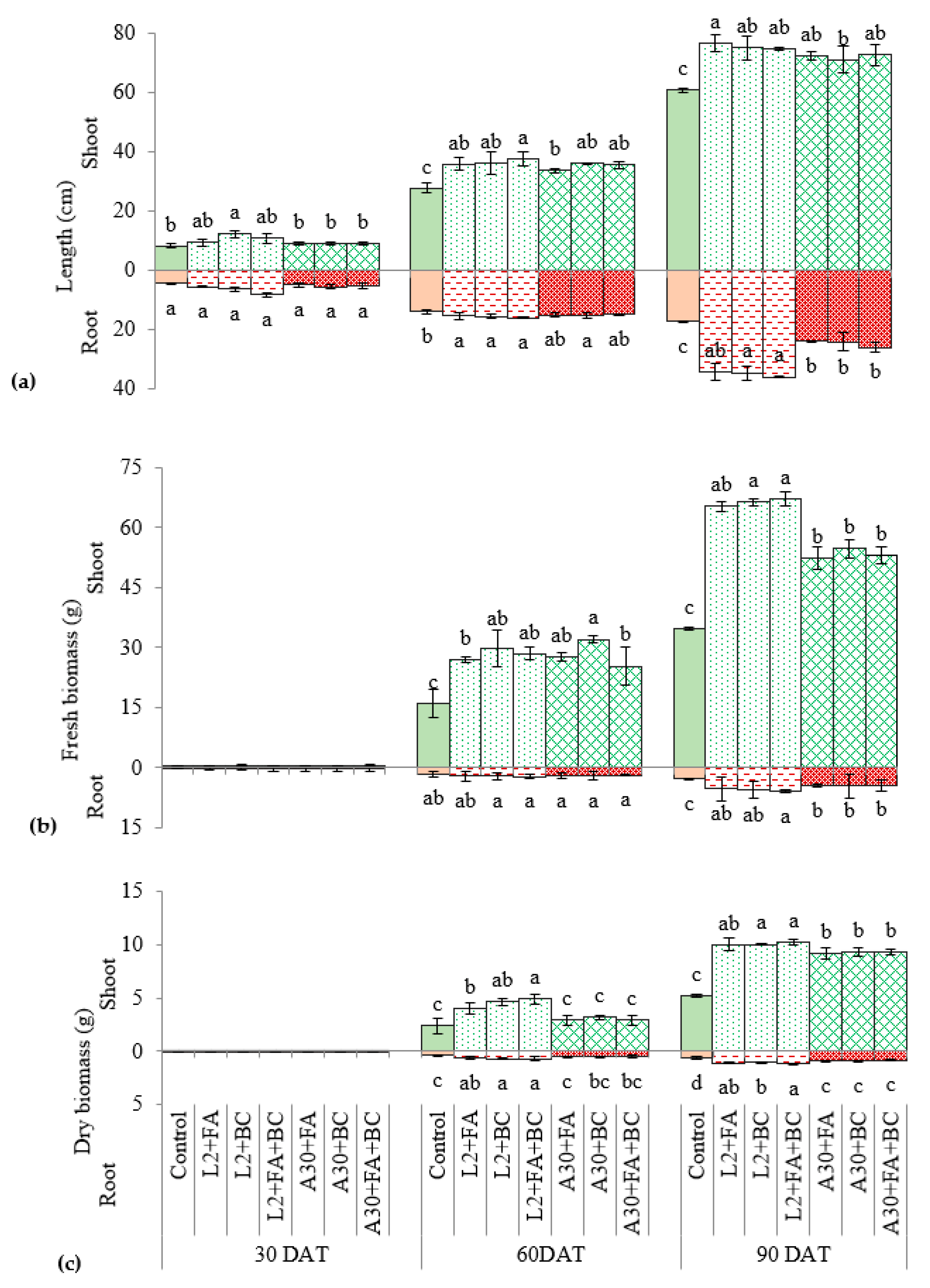 Horticulturae 08 00444 g002