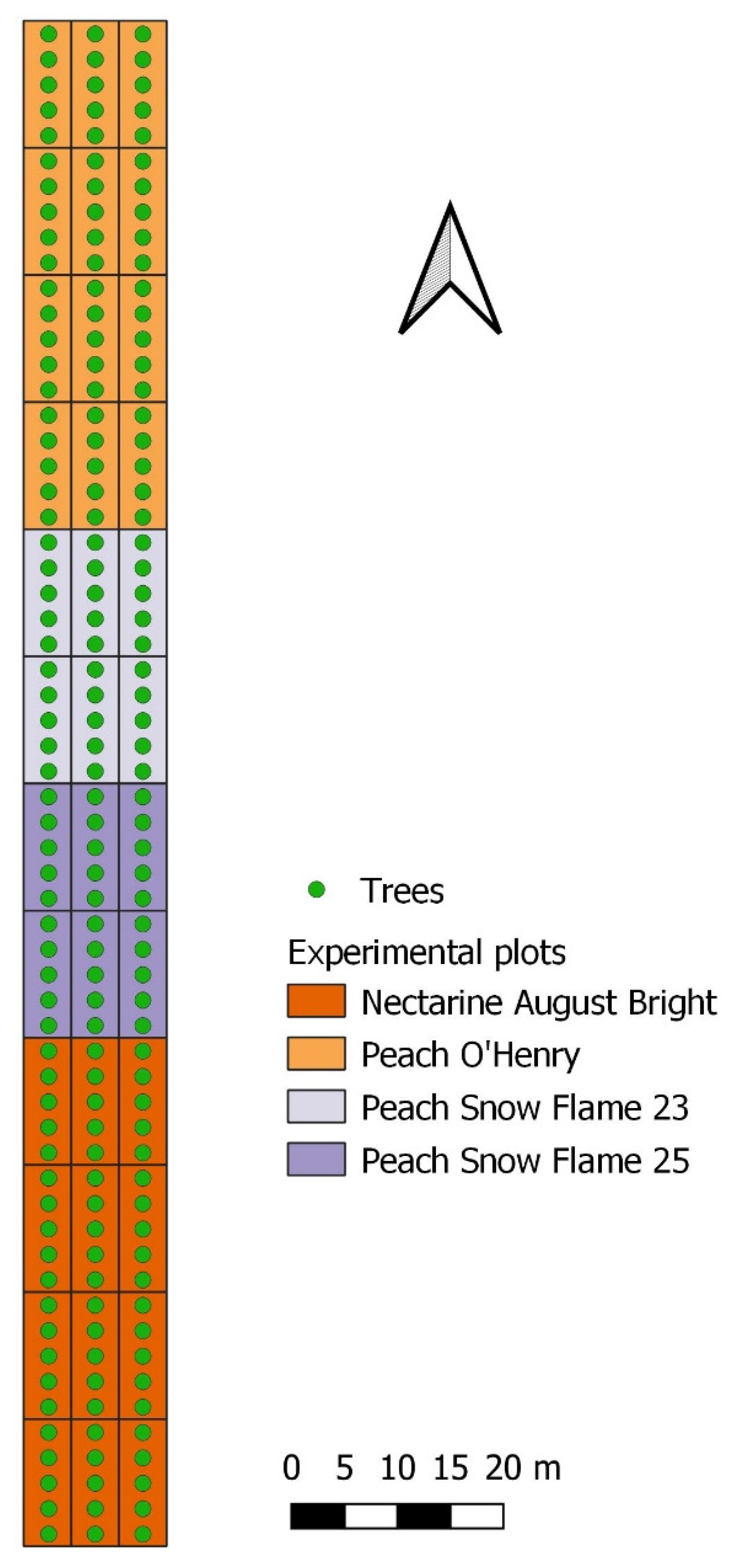 Horticulturae 08 00459 g003 Horticulturae 08 00459 g003