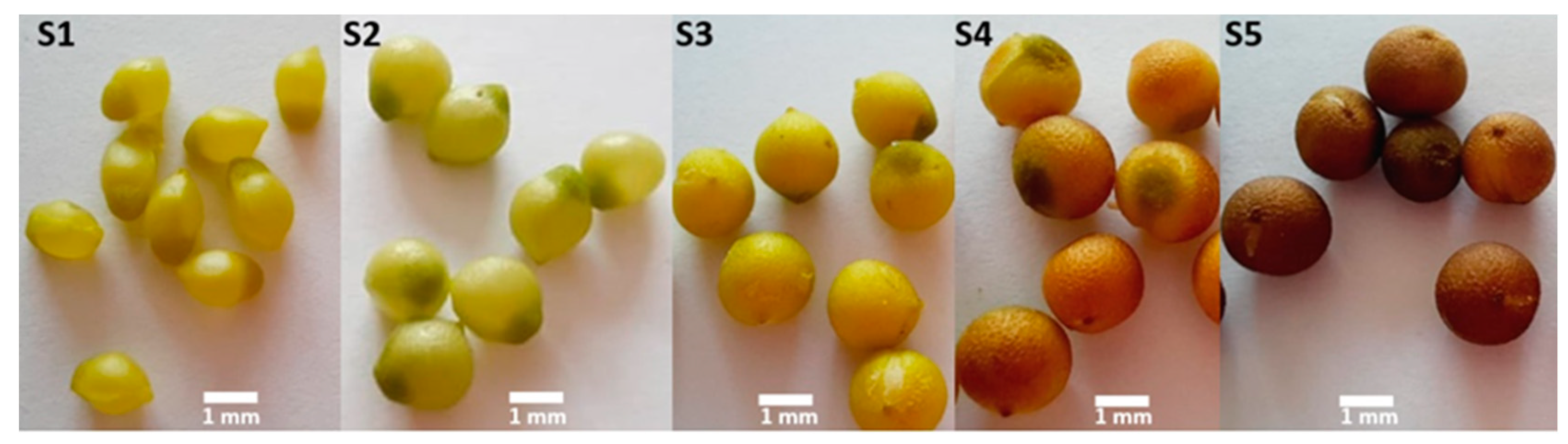 Horticulturae 08 00464 g003 Horticulturae 08 00464 g003