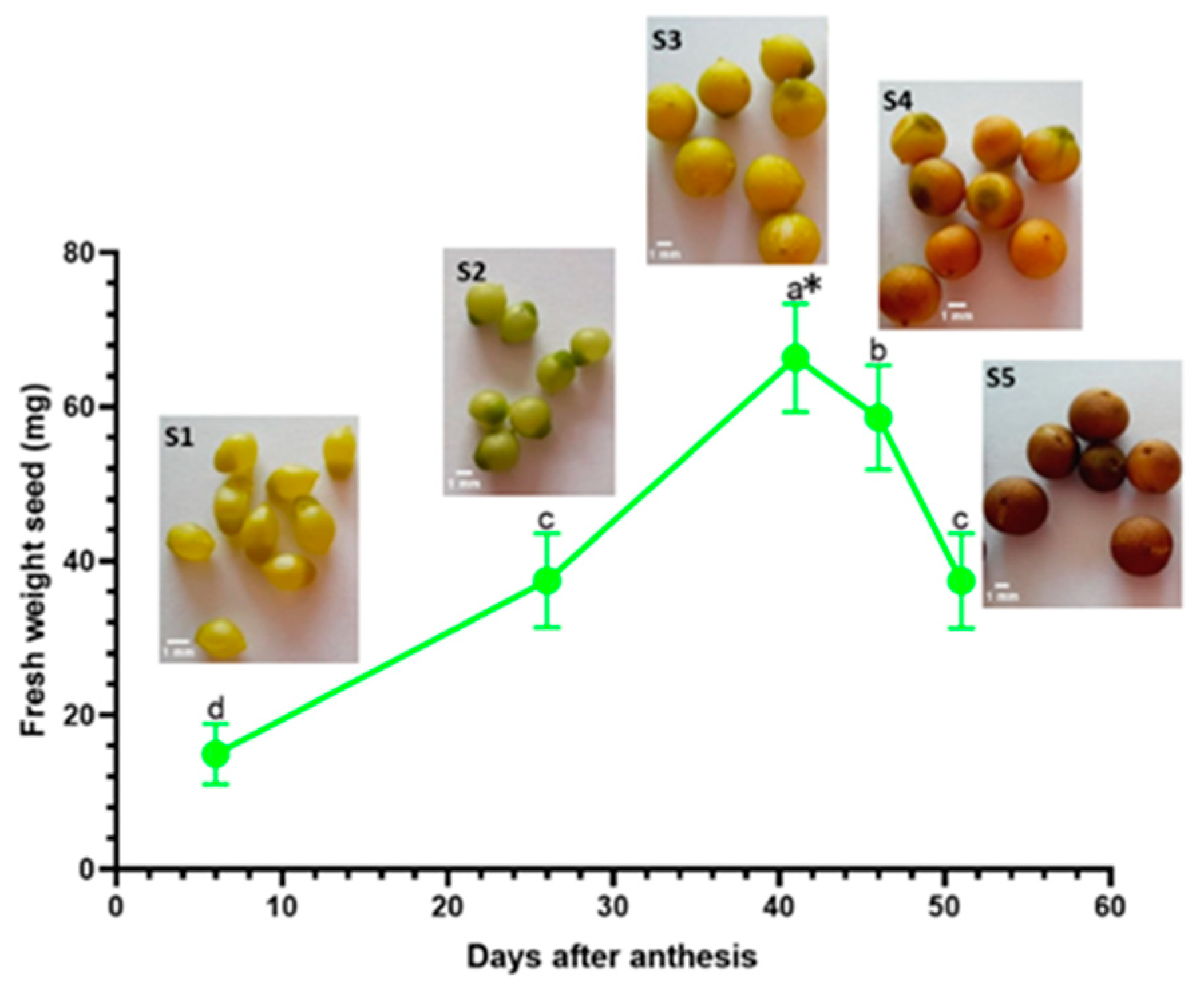 Horticulturae 08 00464 g004 Horticulturae 08 00464 g004