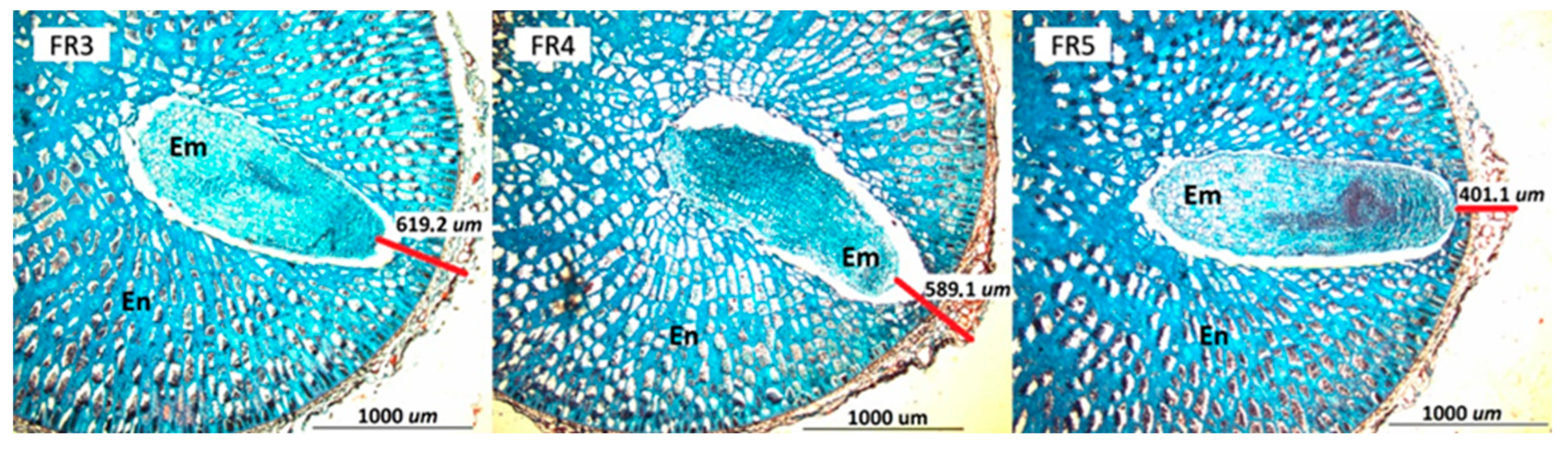 Horticulturae 08 00464 g008 Horticulturae 08 00464 g008