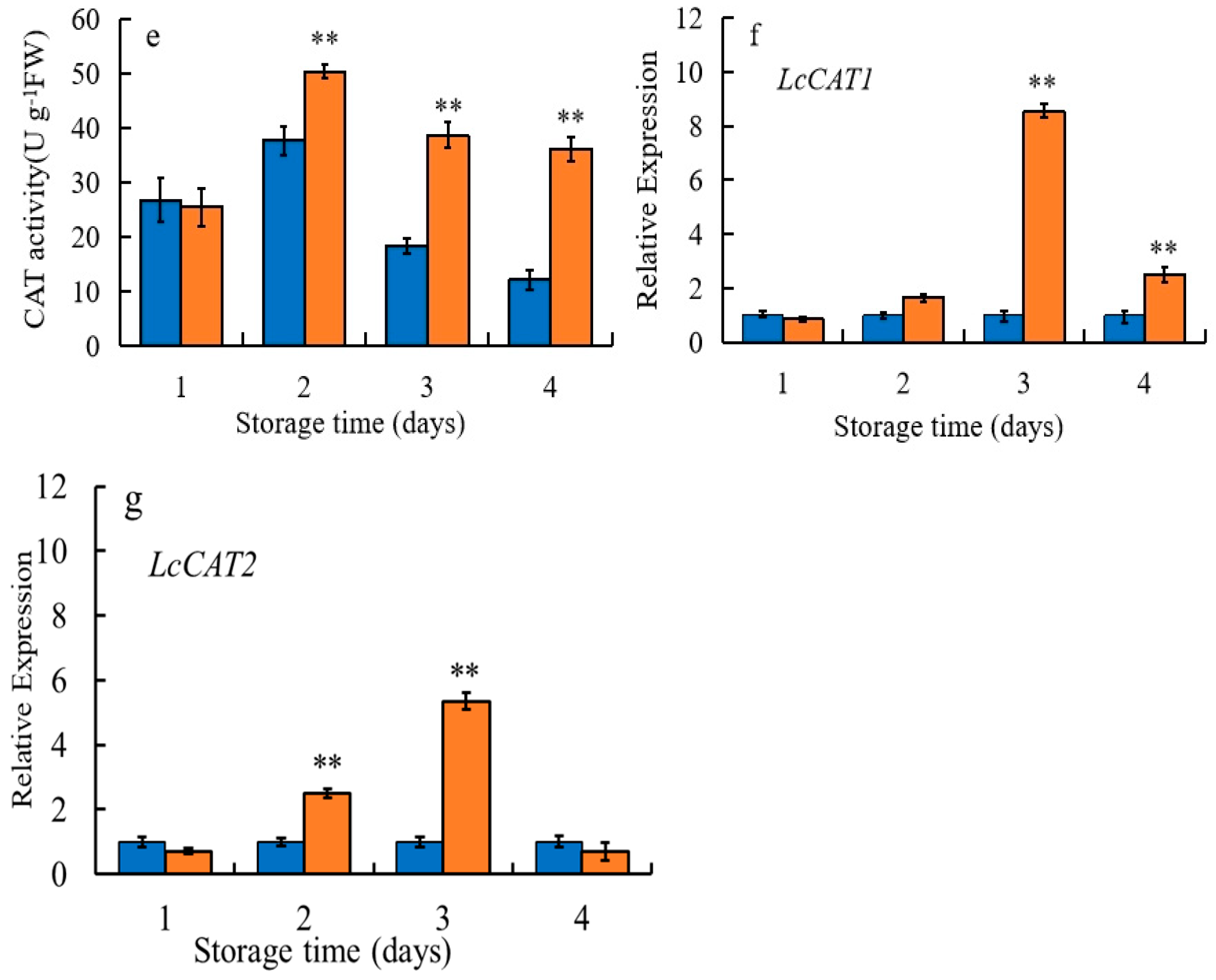 Horticulturae 08 00473 g005b