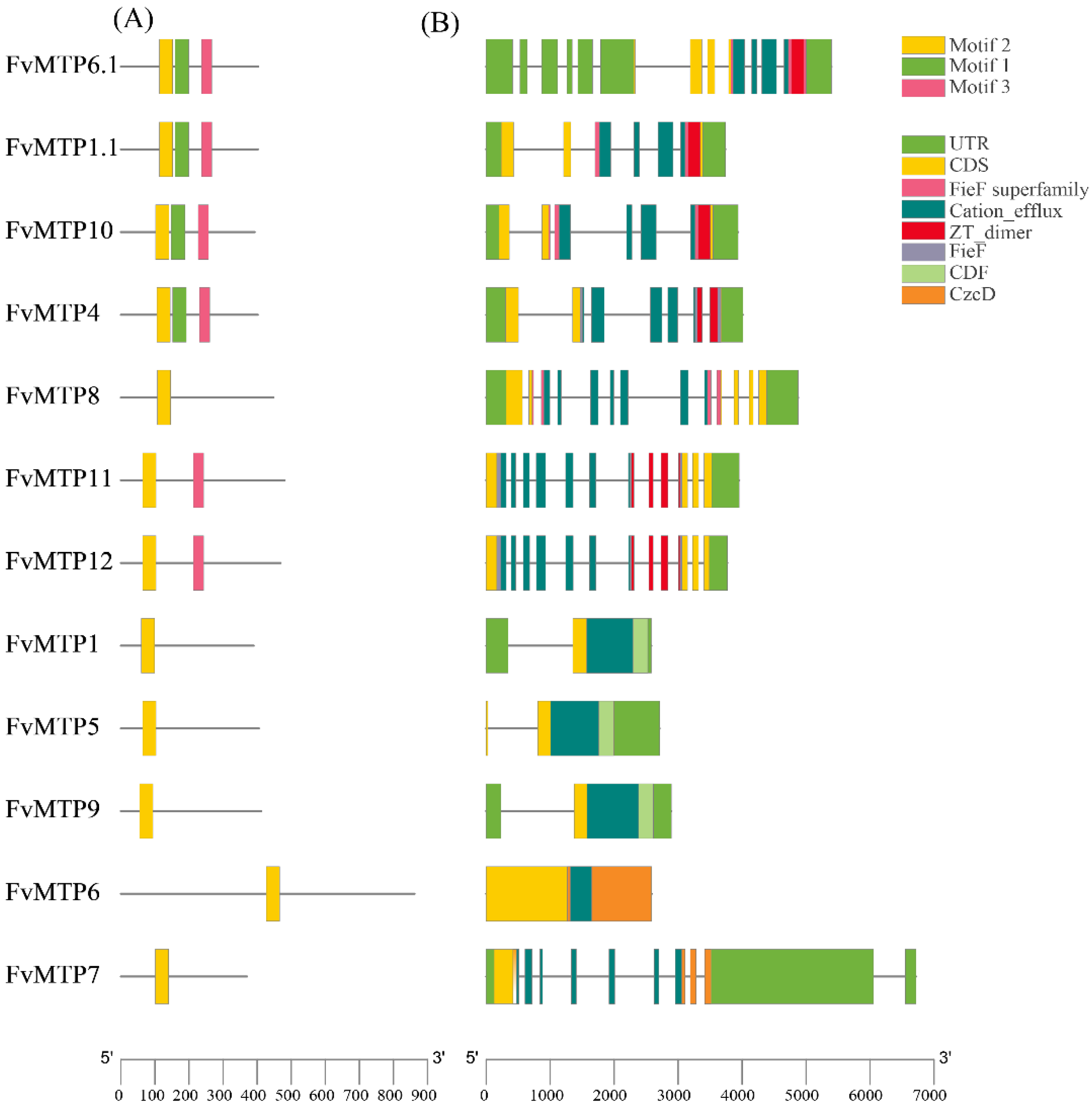Horticulturae 08 00477 g002