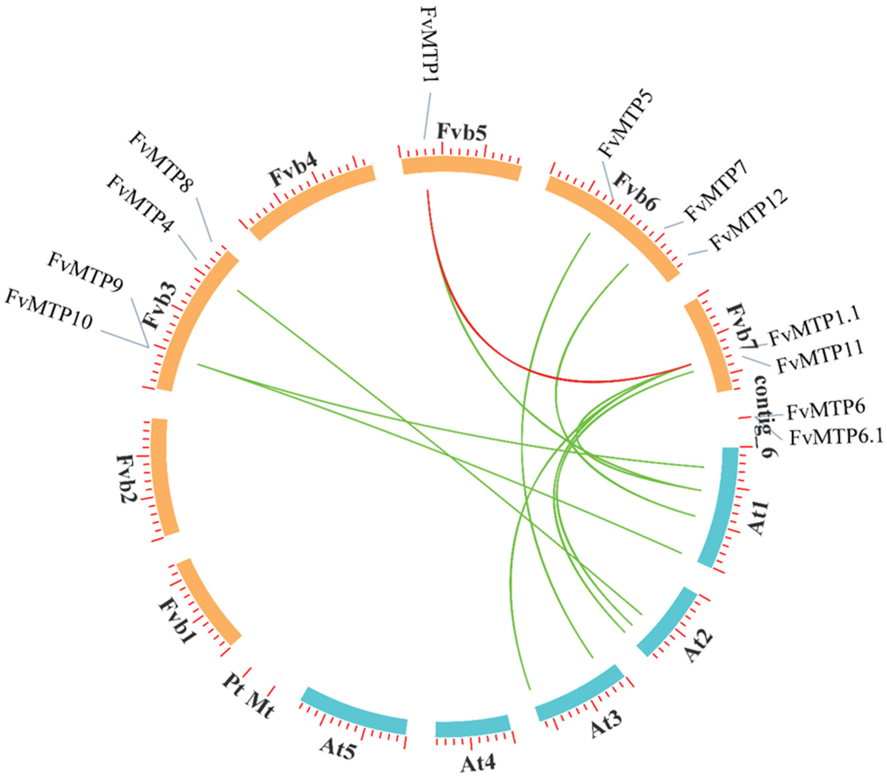 Horticulturae 08 00477 g003