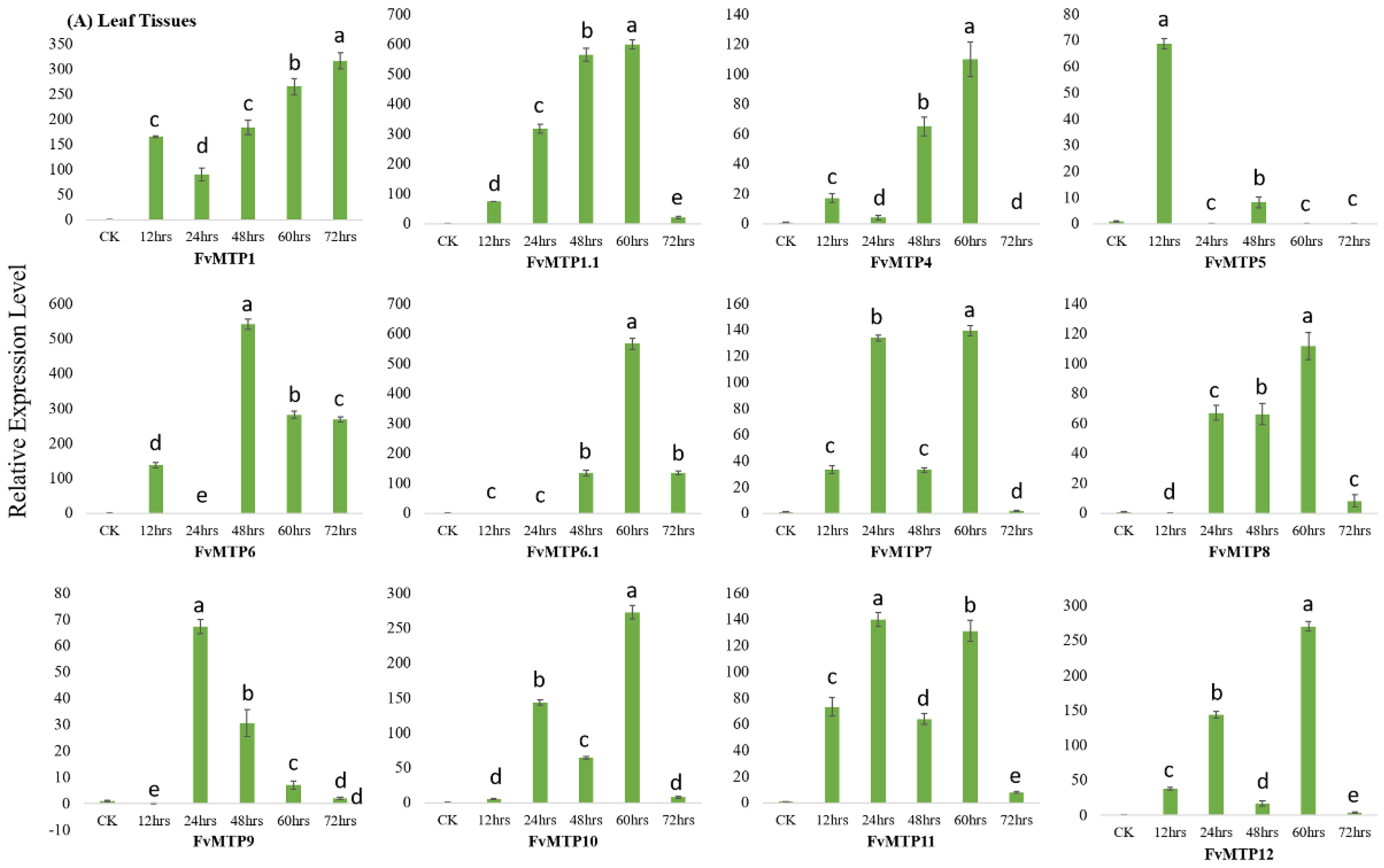 Horticulturae 08 00477 g005a