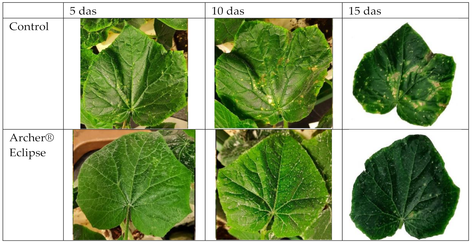 Horticulturae 08 00500 g001 Horticulturae 08 00500 g001