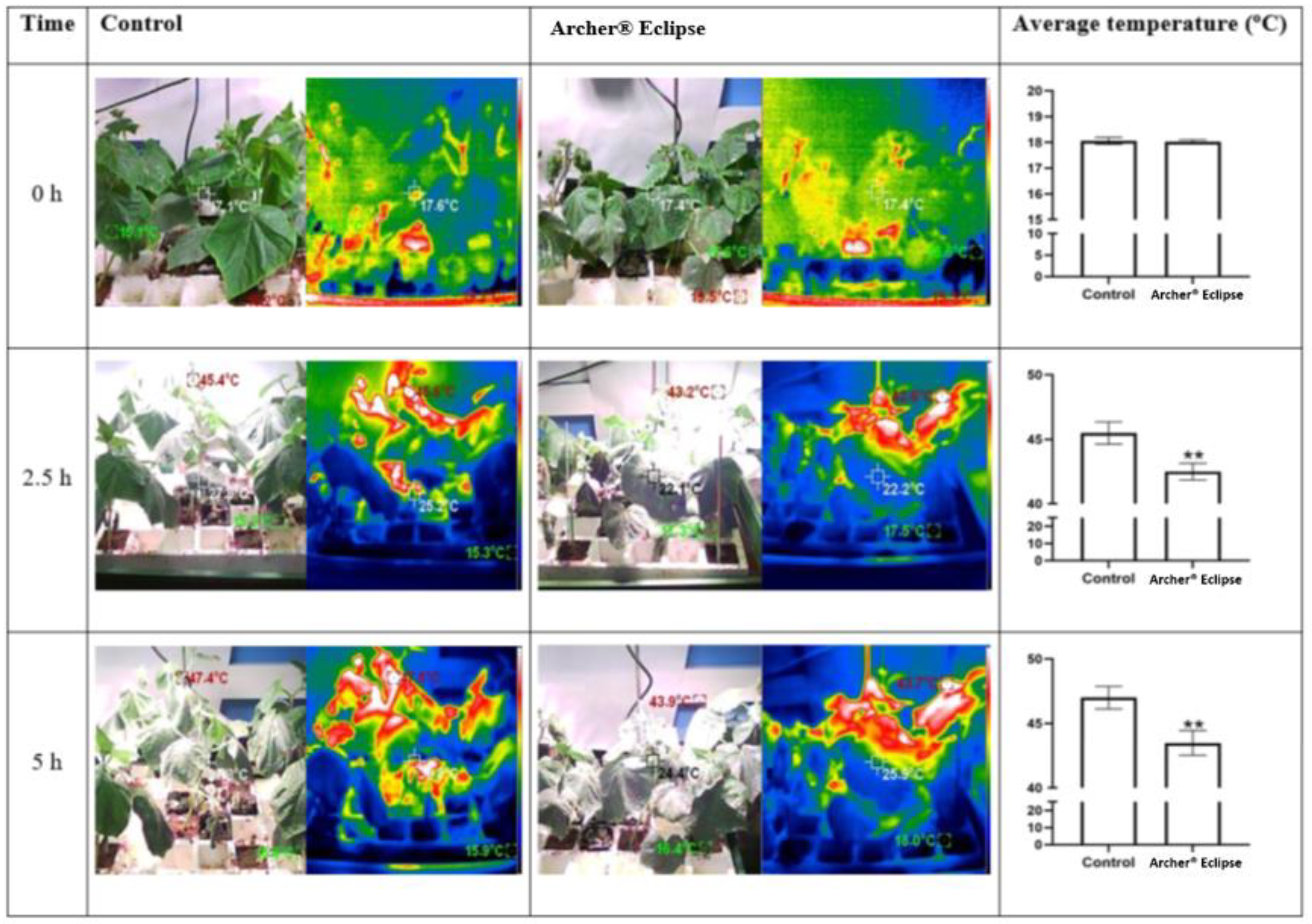 Horticulturae 08 00500 g003 Horticulturae 08 00500 g003