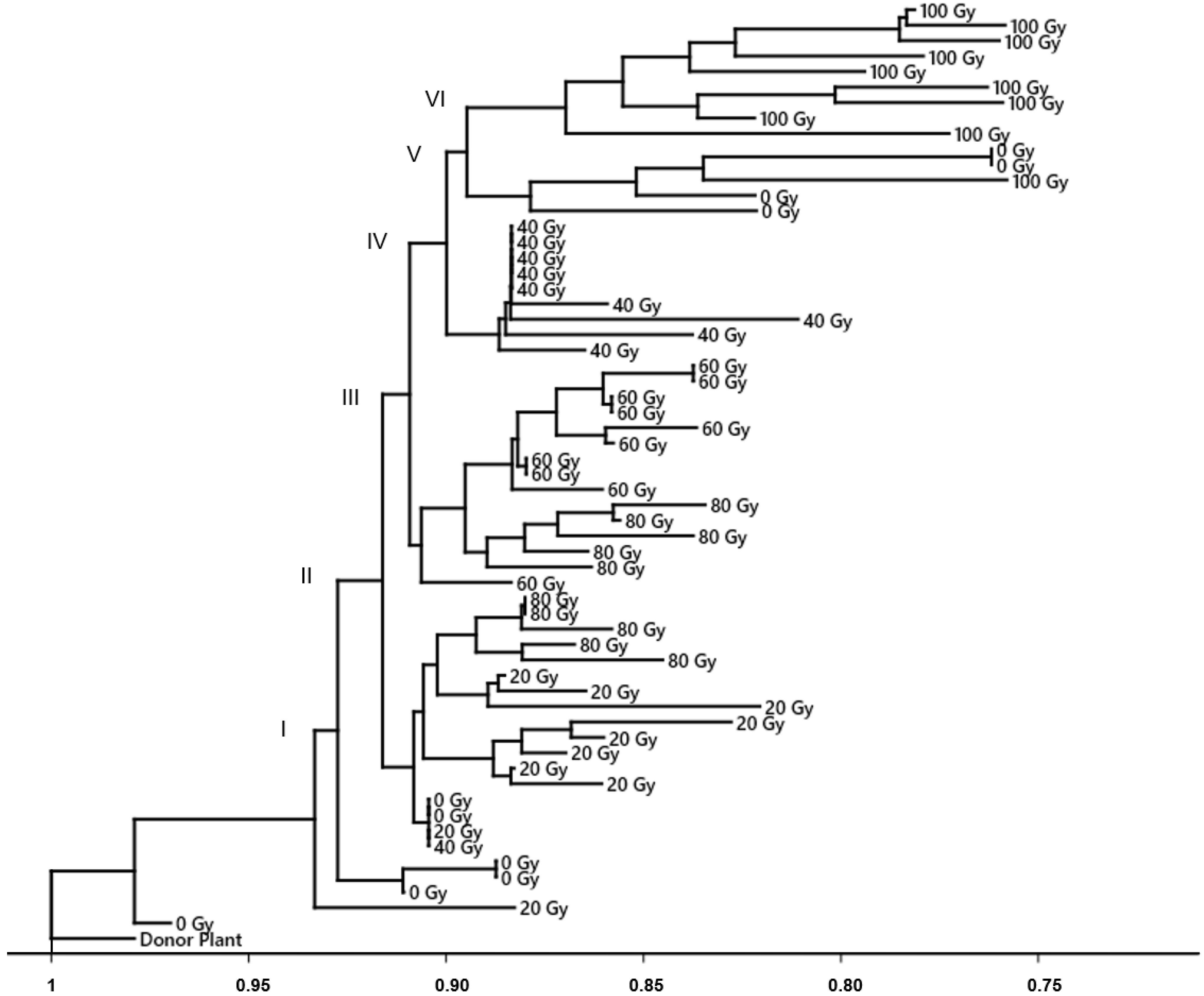 Horticulturae 08 00503 g004