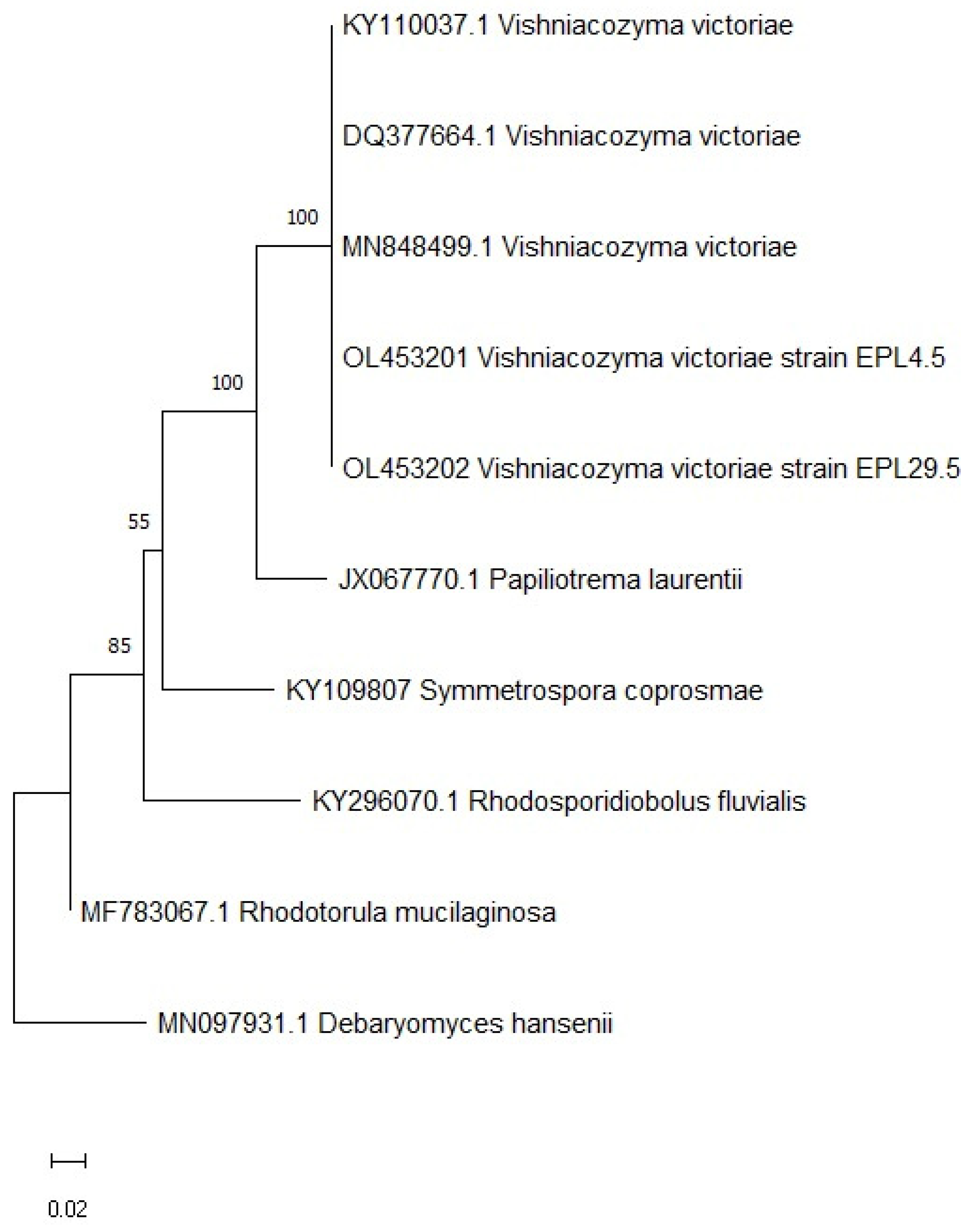 Horticulturae 08 00535 g001