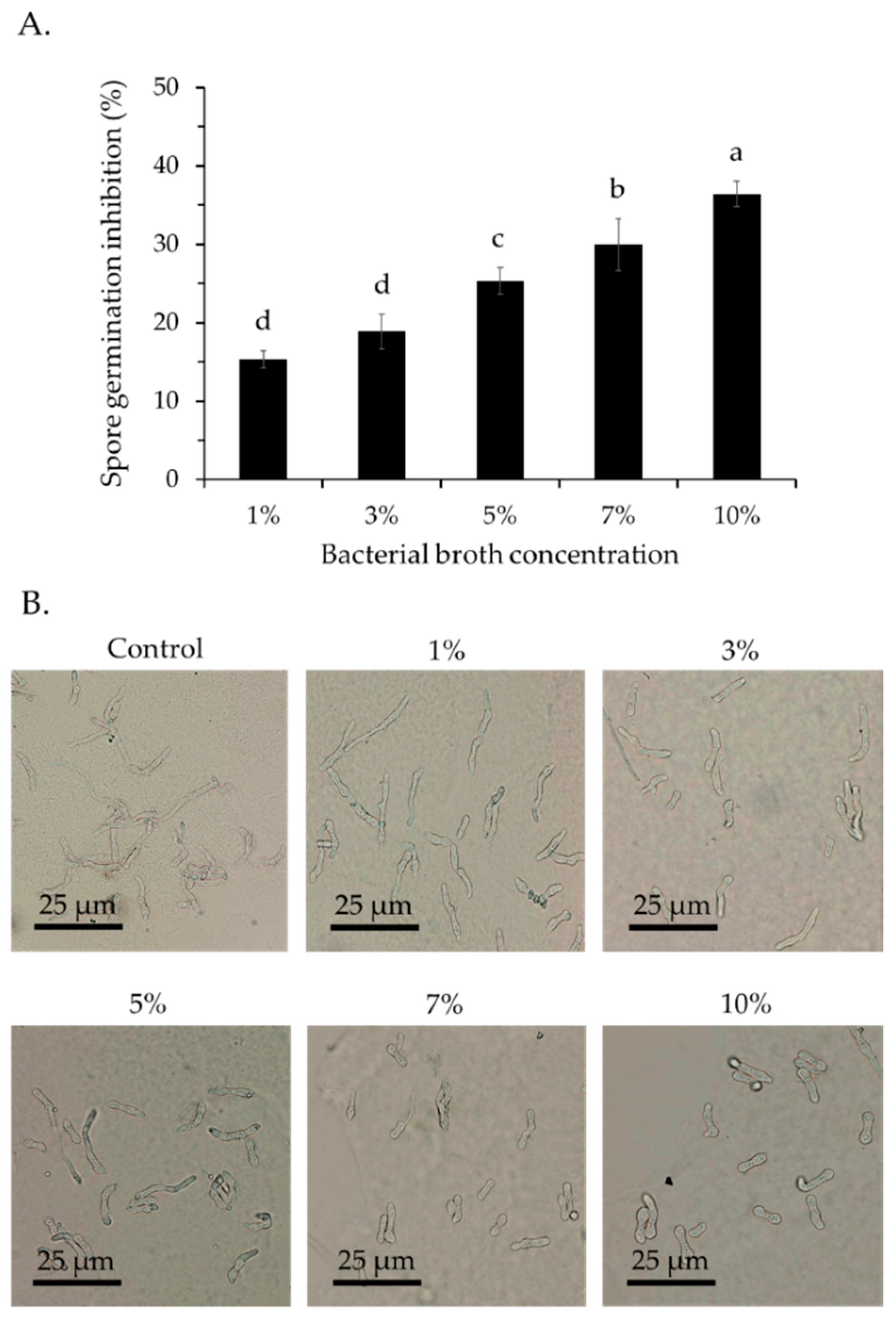 PDF) Antifungal activity of volatile compounds generated by