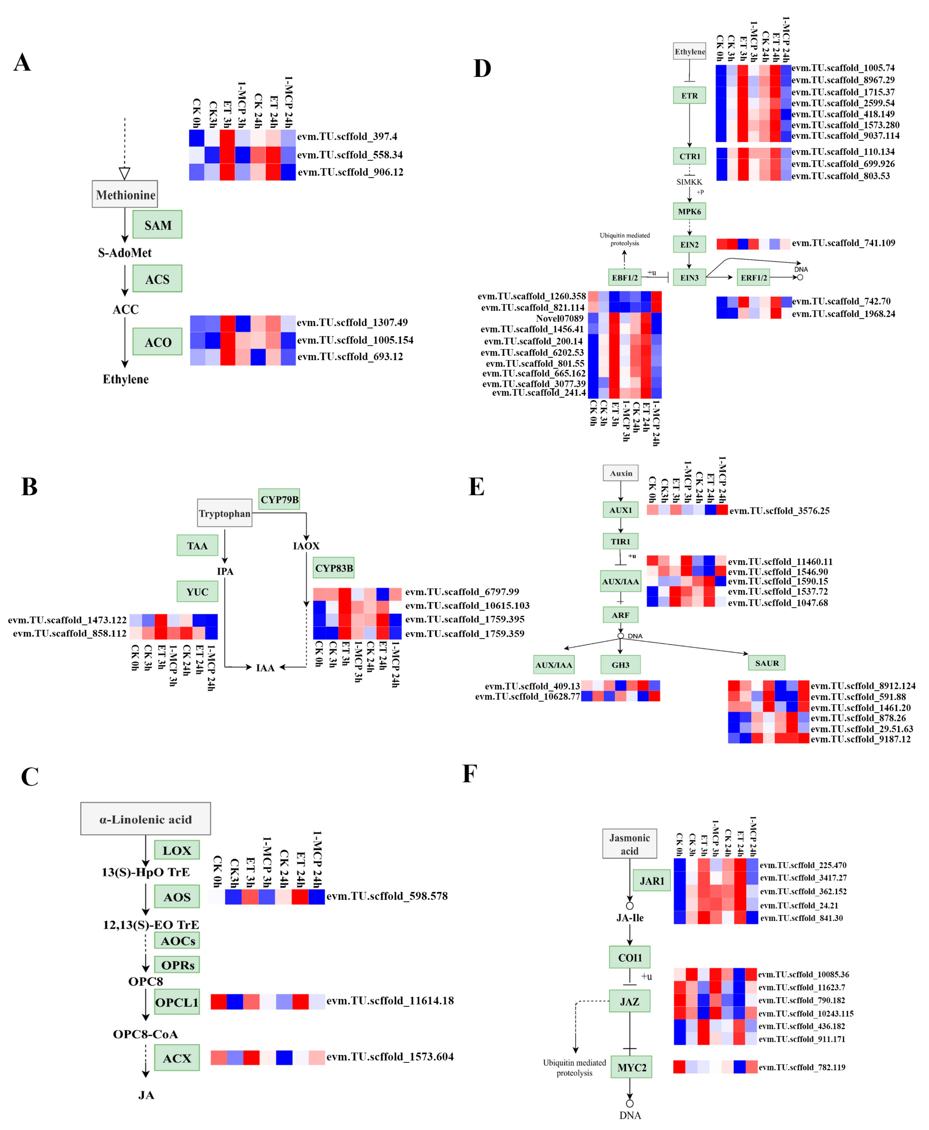 Horticulturae 08 00573 g003
