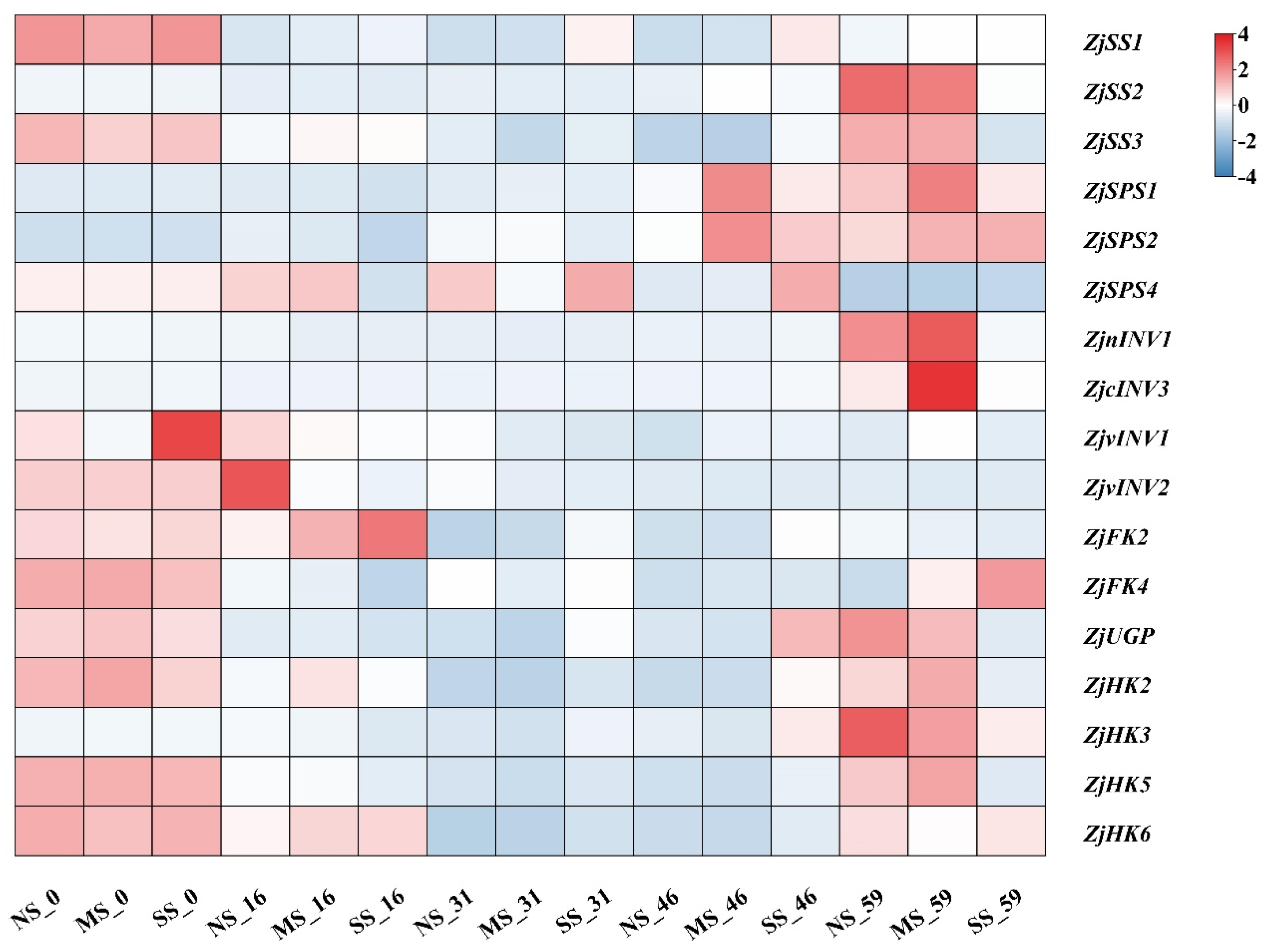 Horticulturae 08 00592 g005