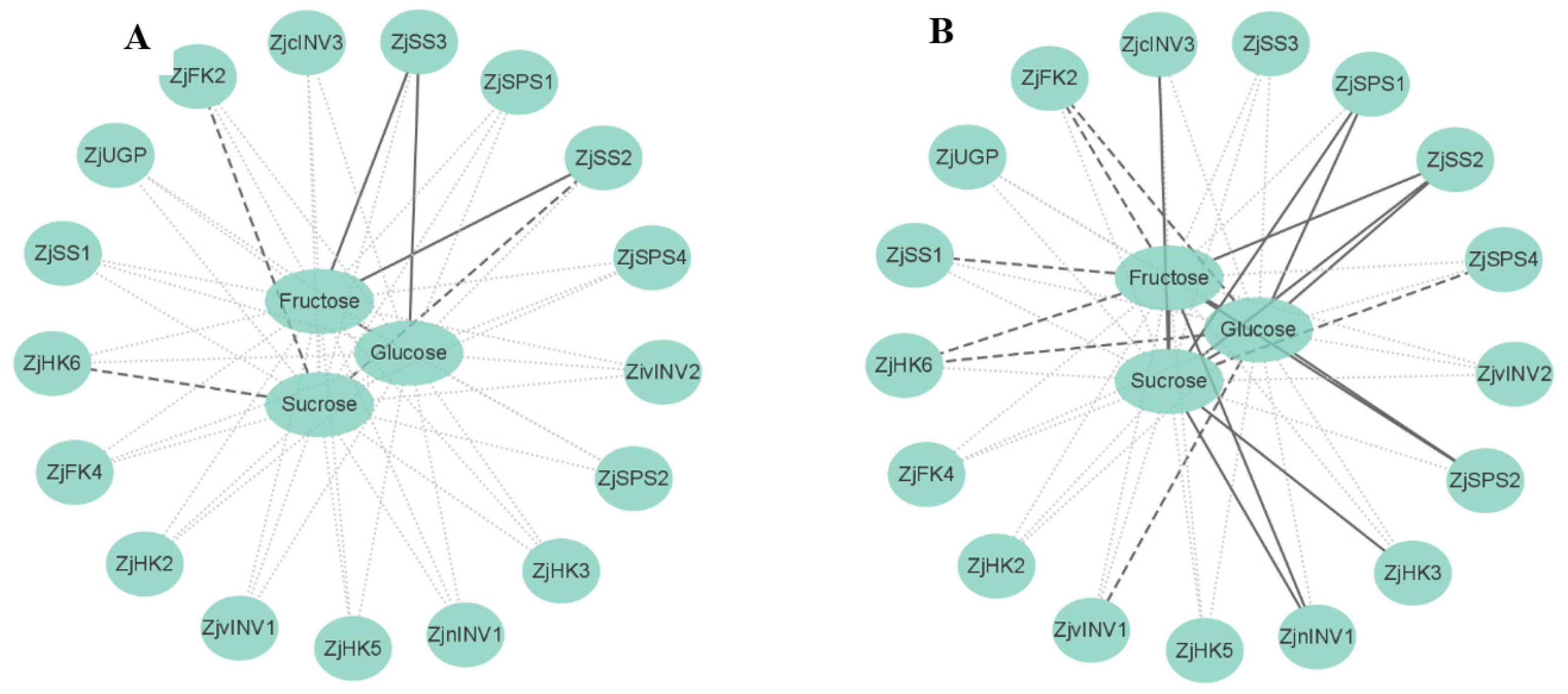Horticulturae 08 00592 g006