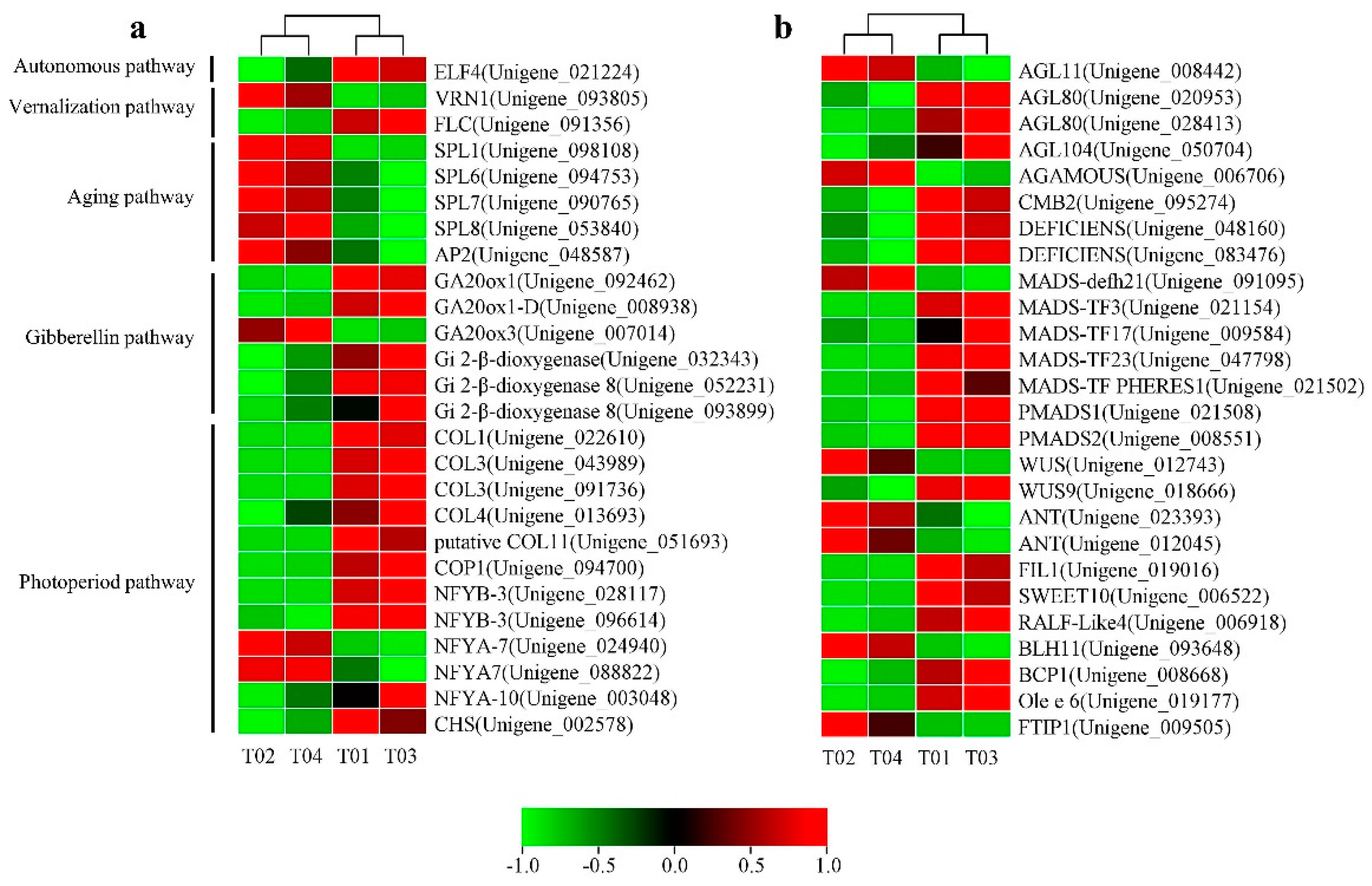 Horticulturae 08 00625 g006
