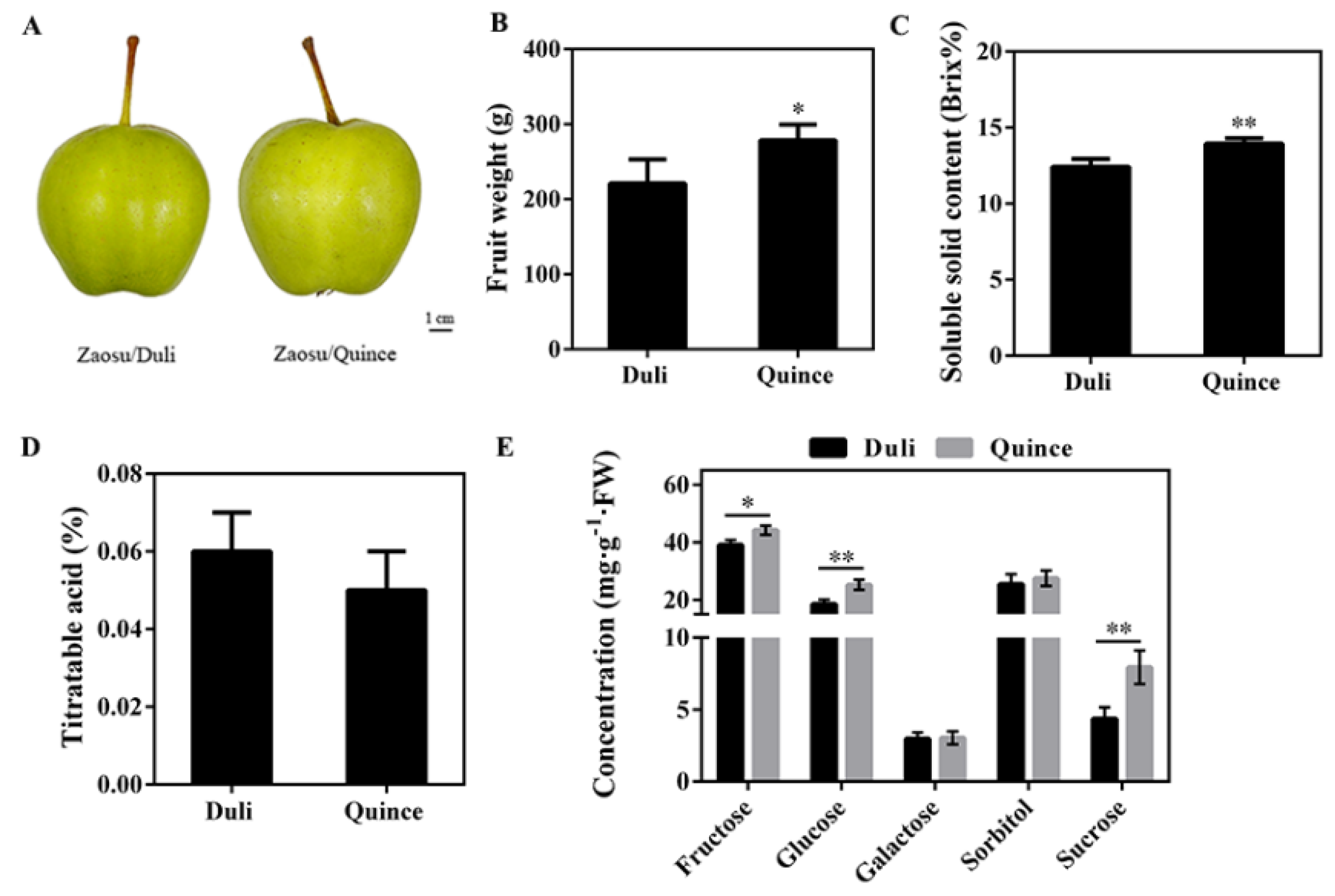 Horticulturae 08 00649 g001