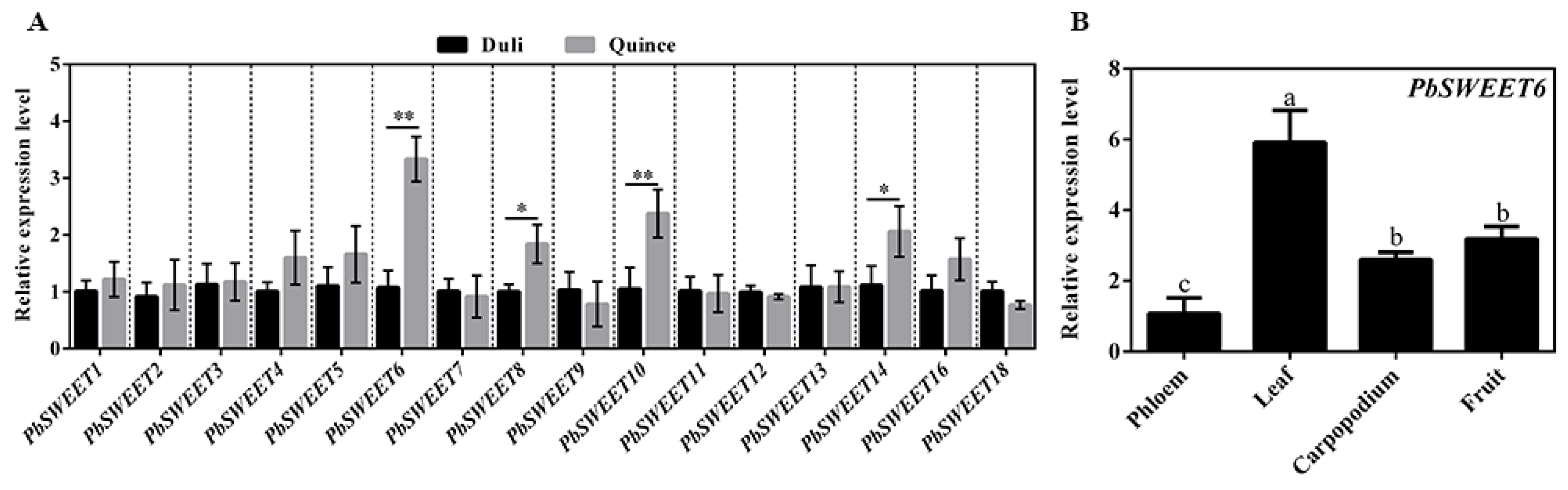 Horticulturae 08 00649 g003