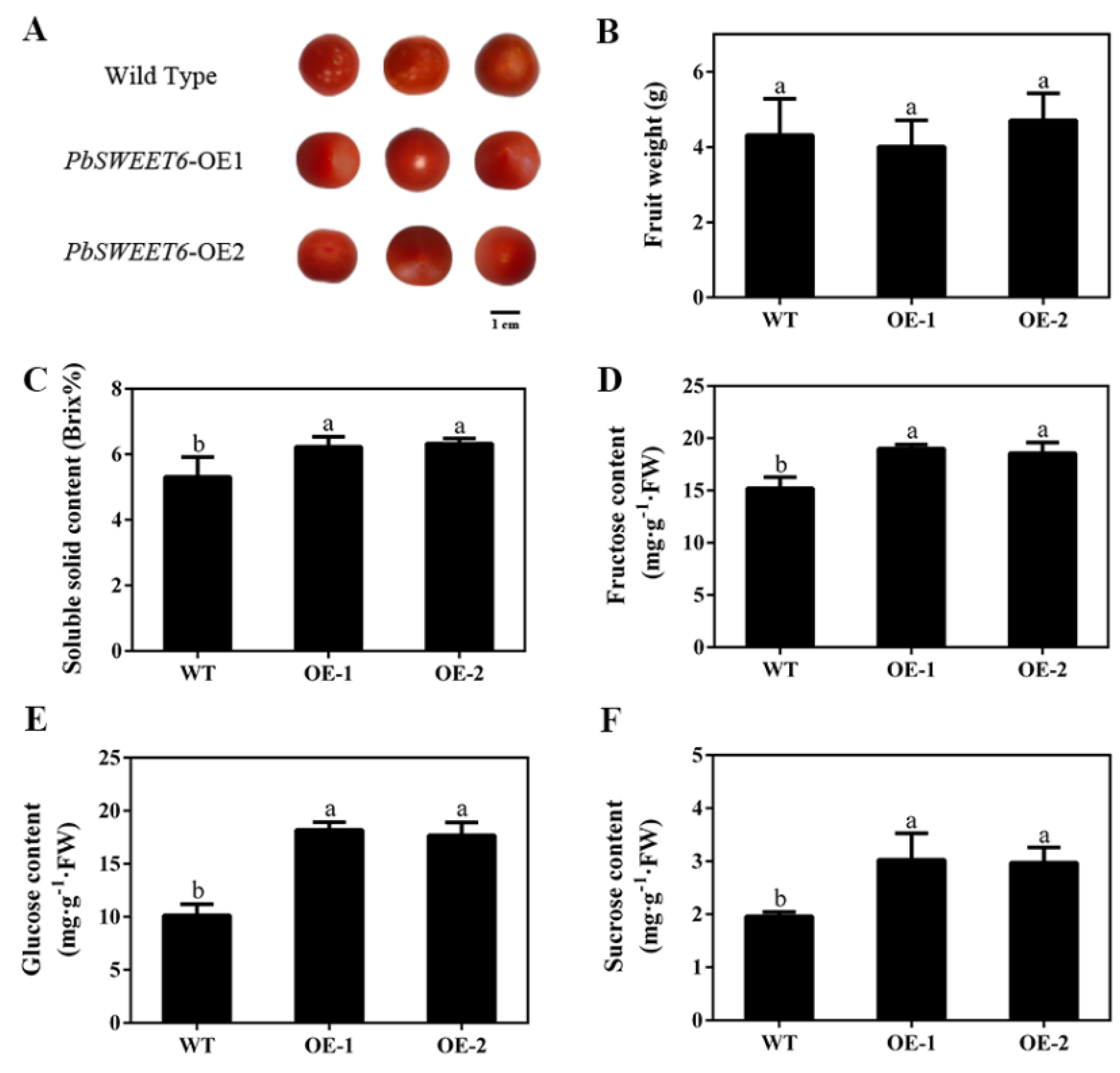 Horticulturae 08 00649 g005