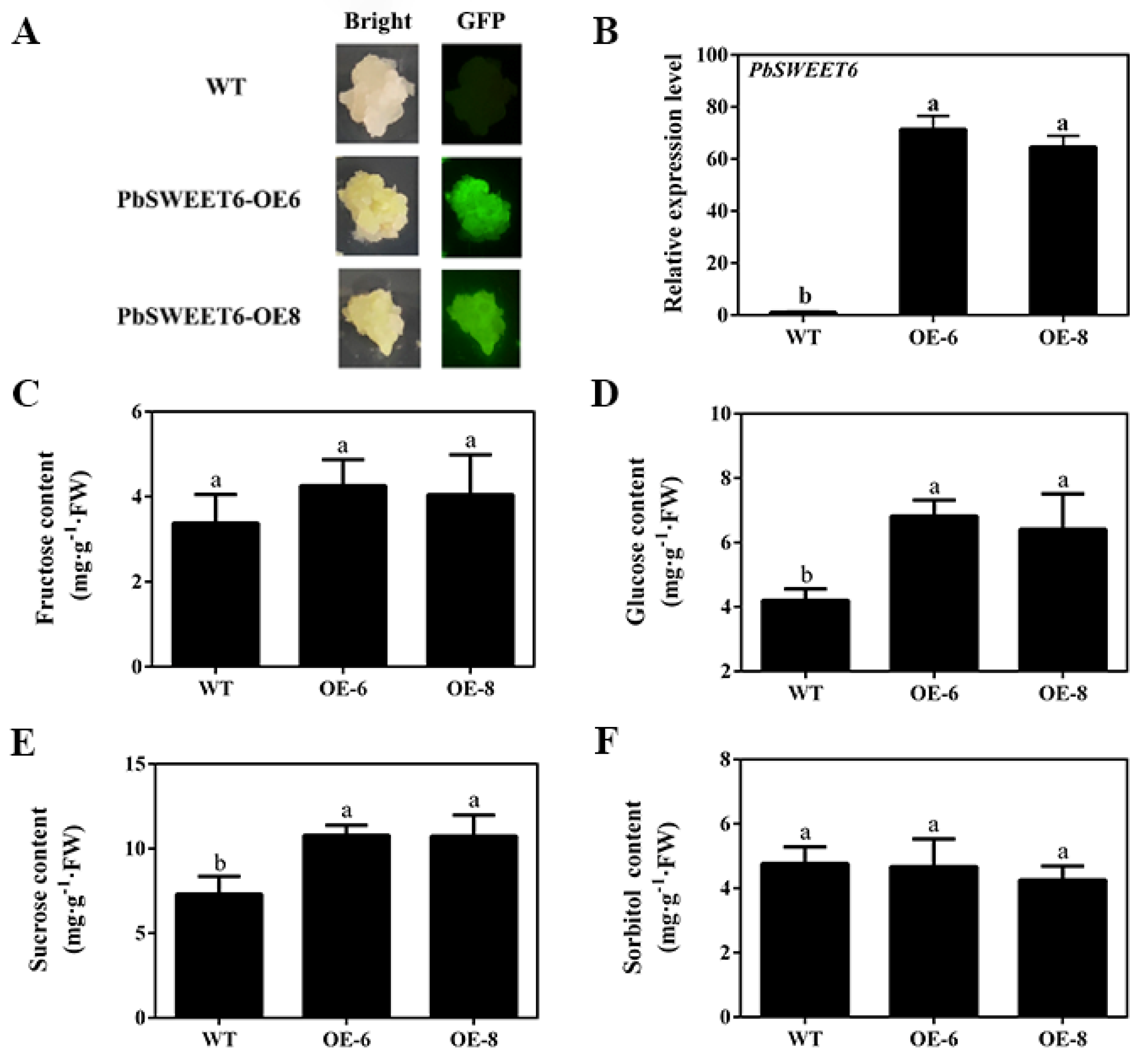 Horticulturae 08 00649 g006