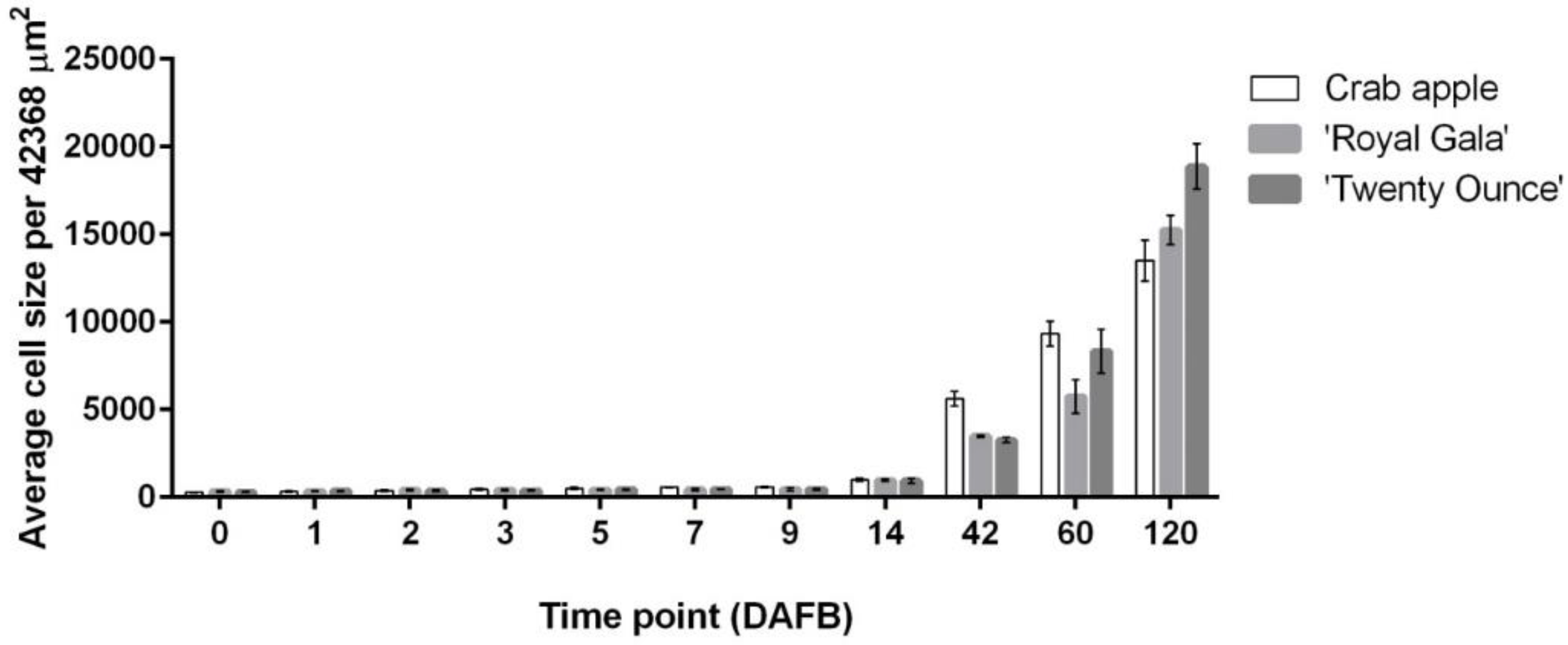 Horticulturae 08 00657 g003 Horticulturae 08 00657 g003