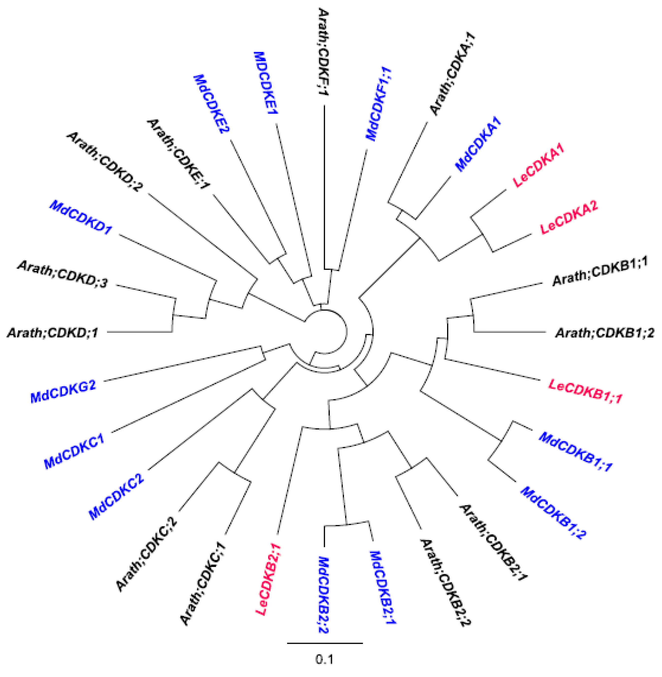 Horticulturae 08 00657 g011 Horticulturae 08 00657 g011