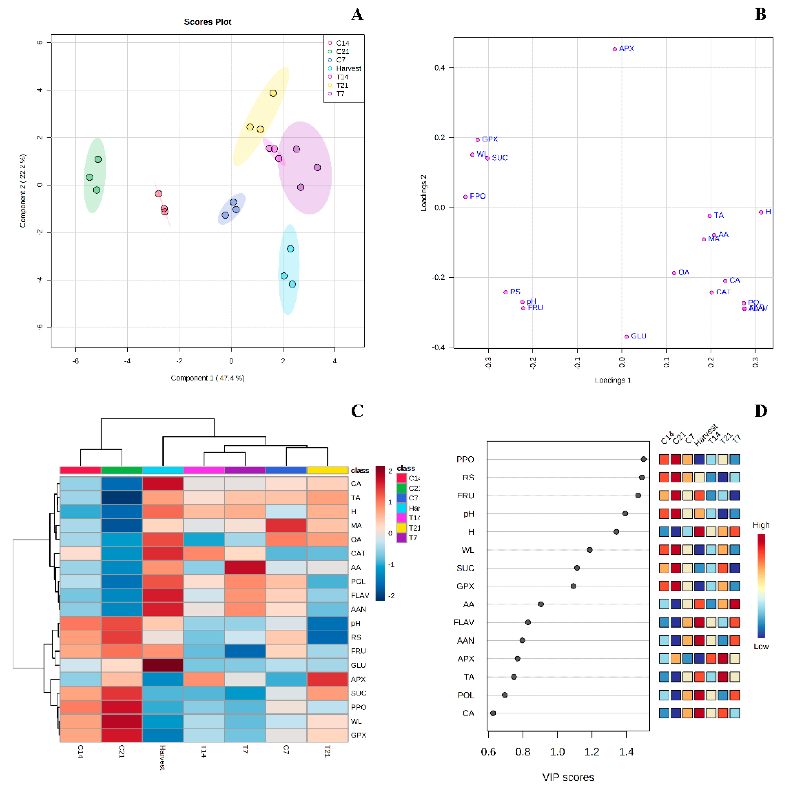 Horticulturae 08 00709 g004