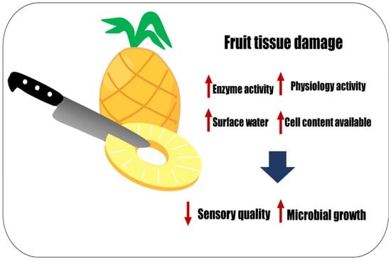 2022 Fresh Trends report reveals top 20 fruit and vegetables