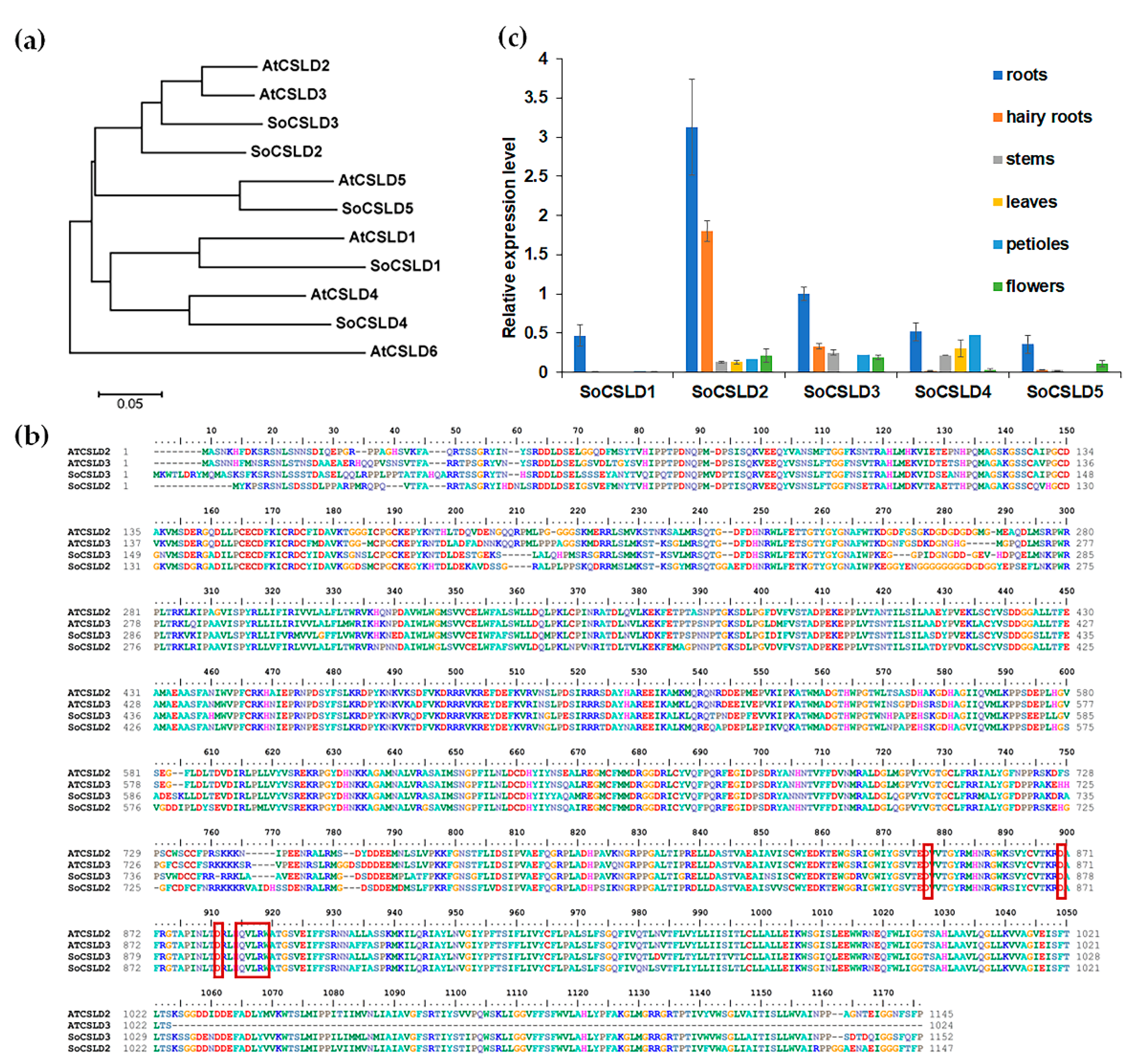 Horticulturae 08 00735 g001