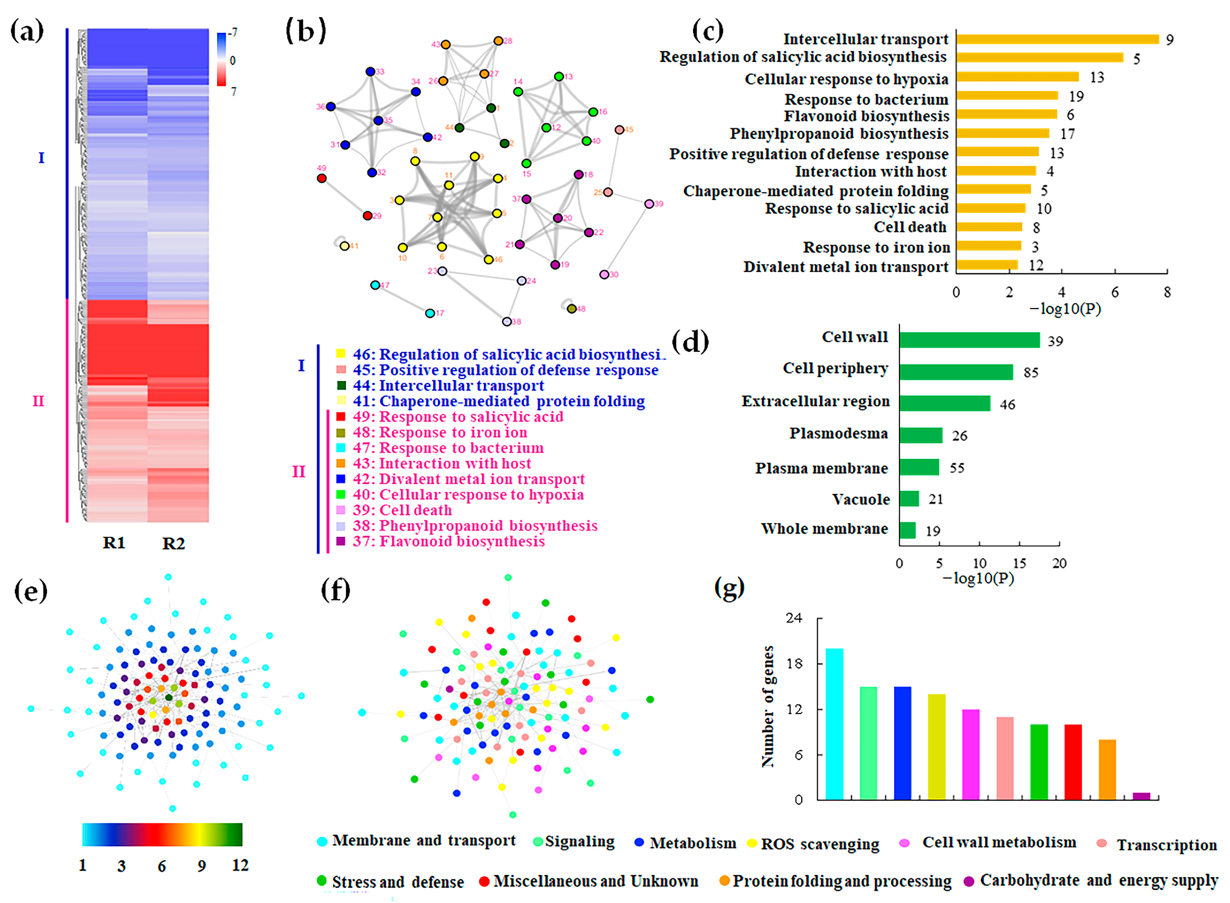 Horticulturae 08 00735 g005