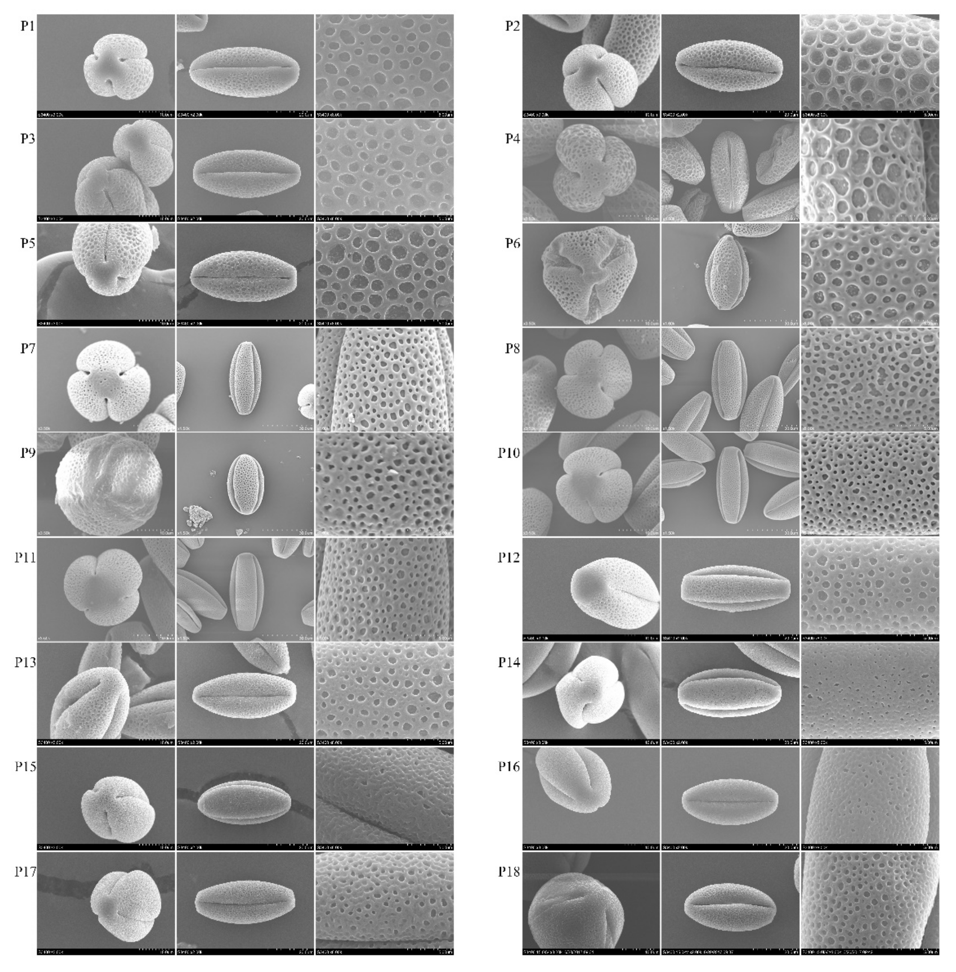 Horticulturae 08 00736 g002