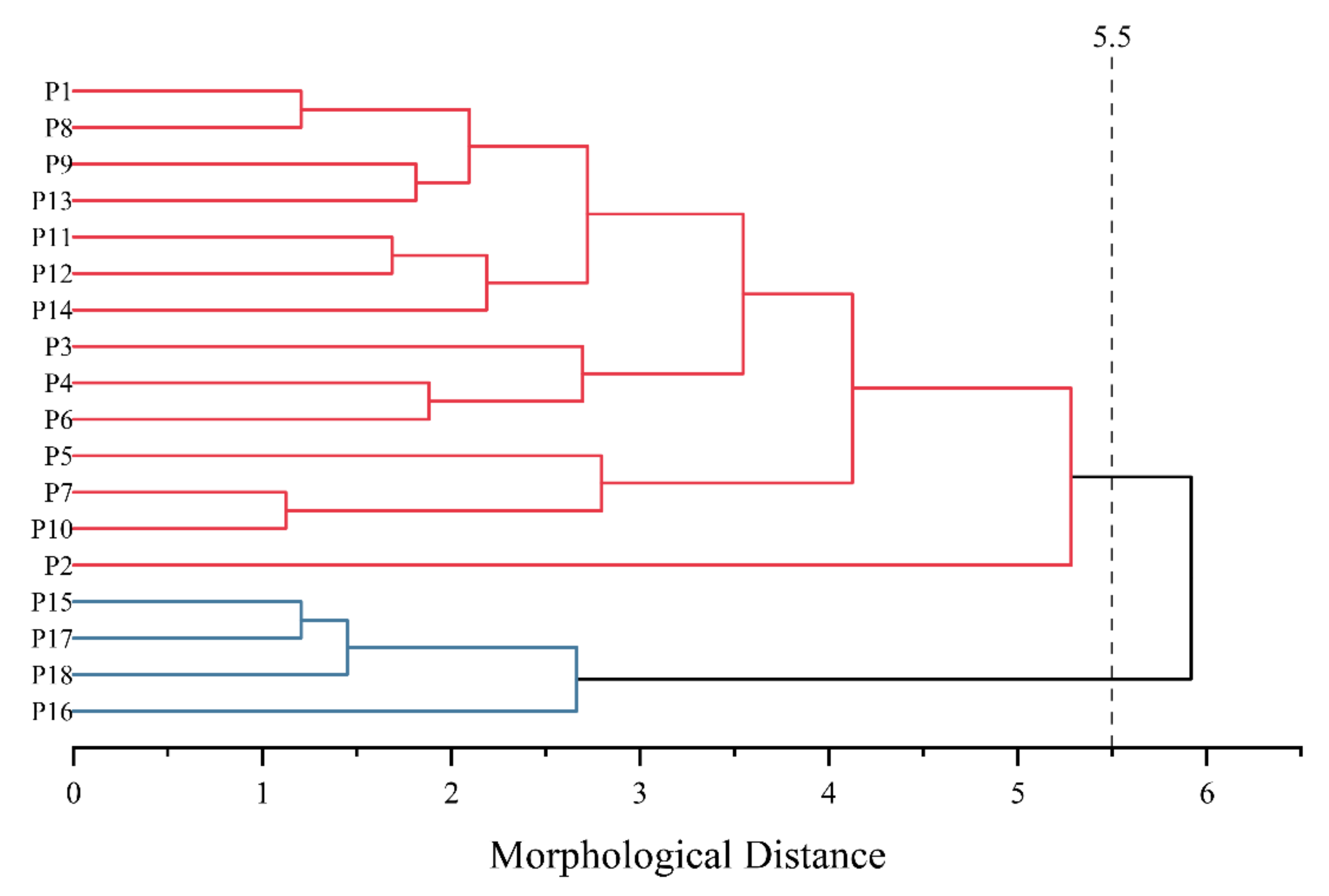 Horticulturae 08 00736 g004